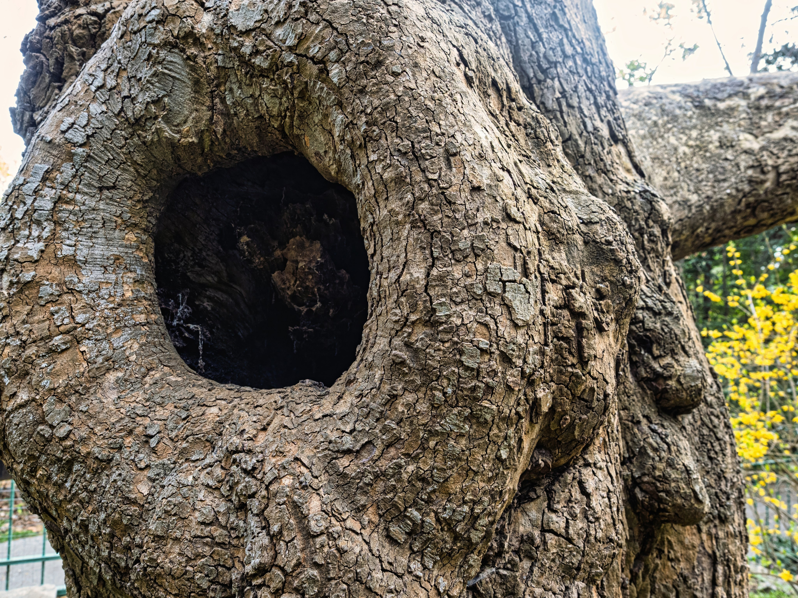 Крым, Утес, 2021 год. Фотограф Никифоров-Гордеев Сергей. Москва и МО