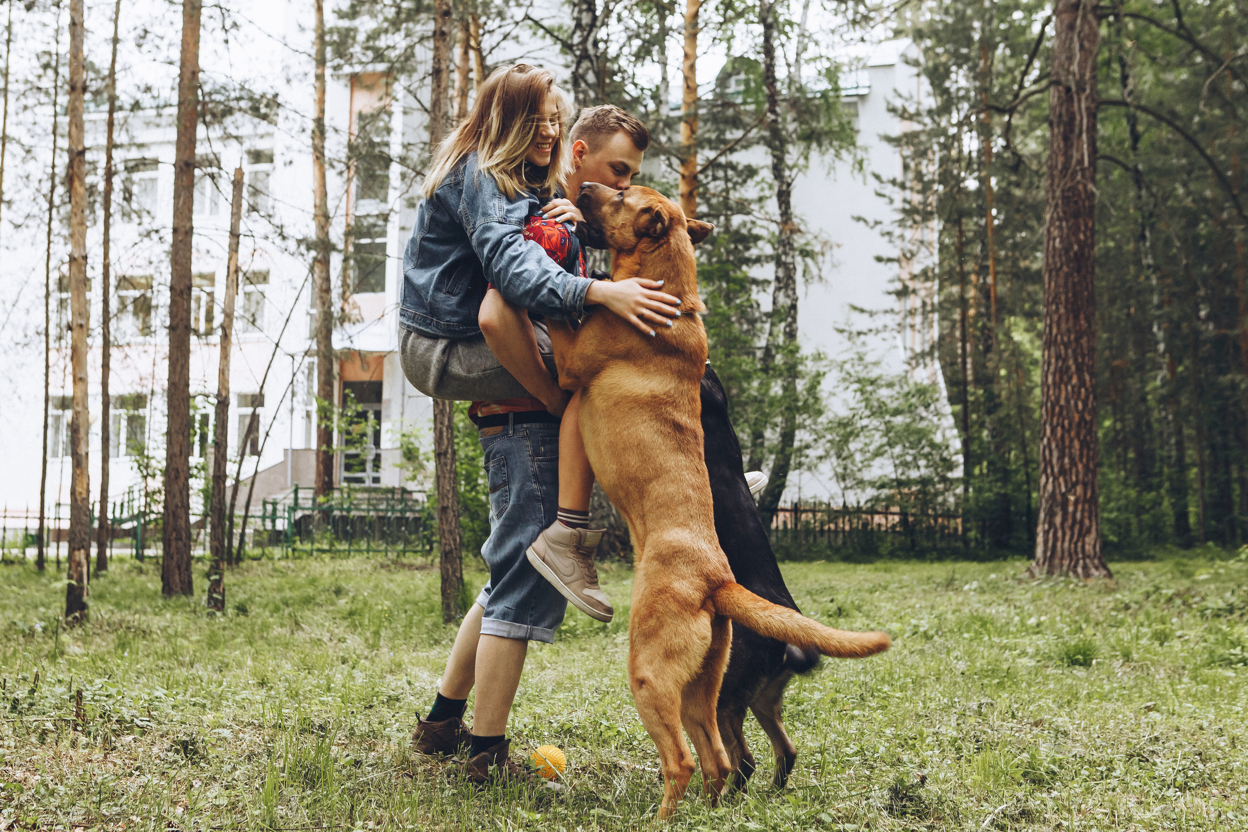Любить люпины и собак!. Свадебный фотограф в Новосибирске Анастасия Бантик