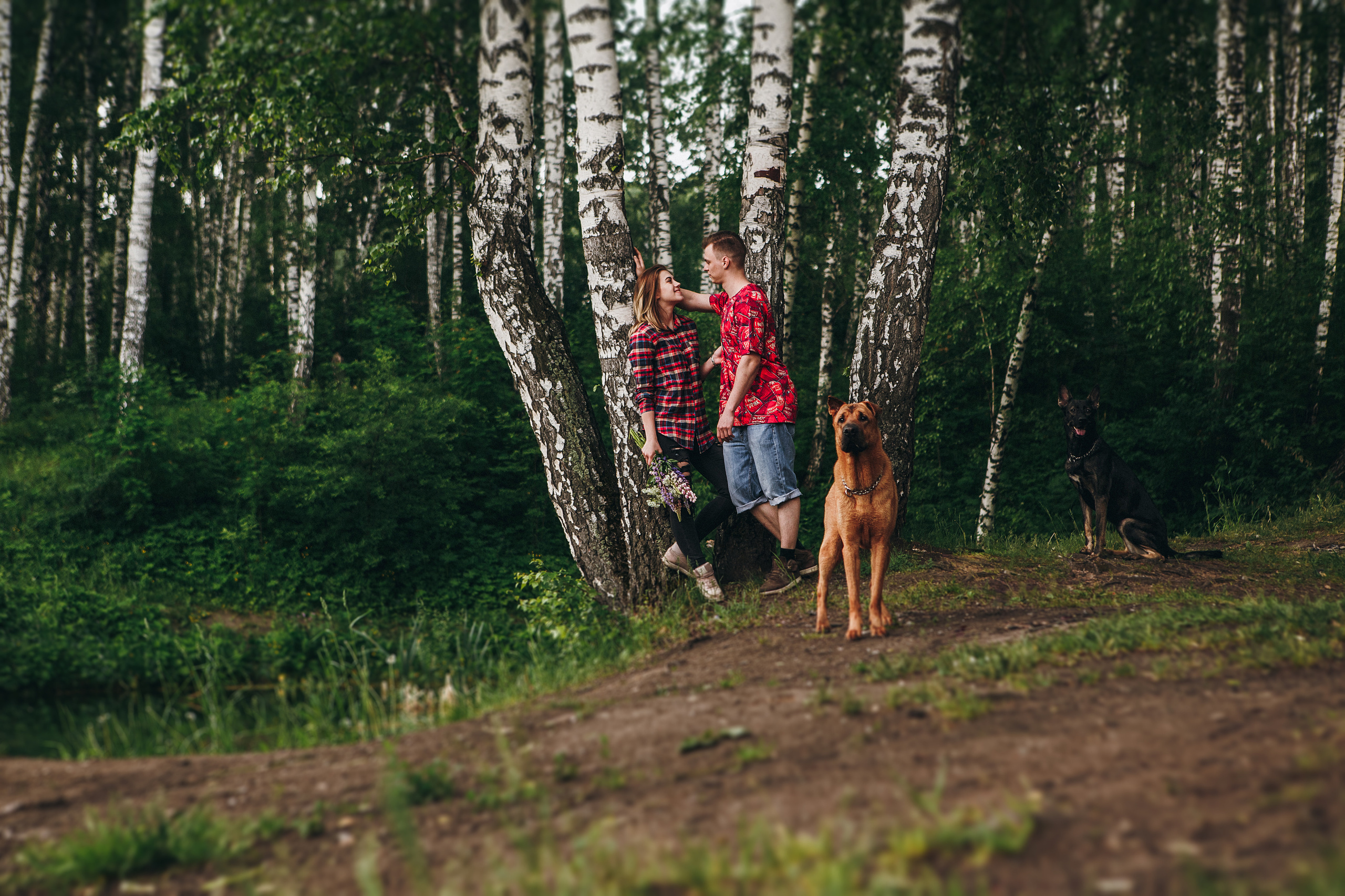 Любить люпины и собак!. Свадебный фотограф в Новосибирске Анастасия Бантик