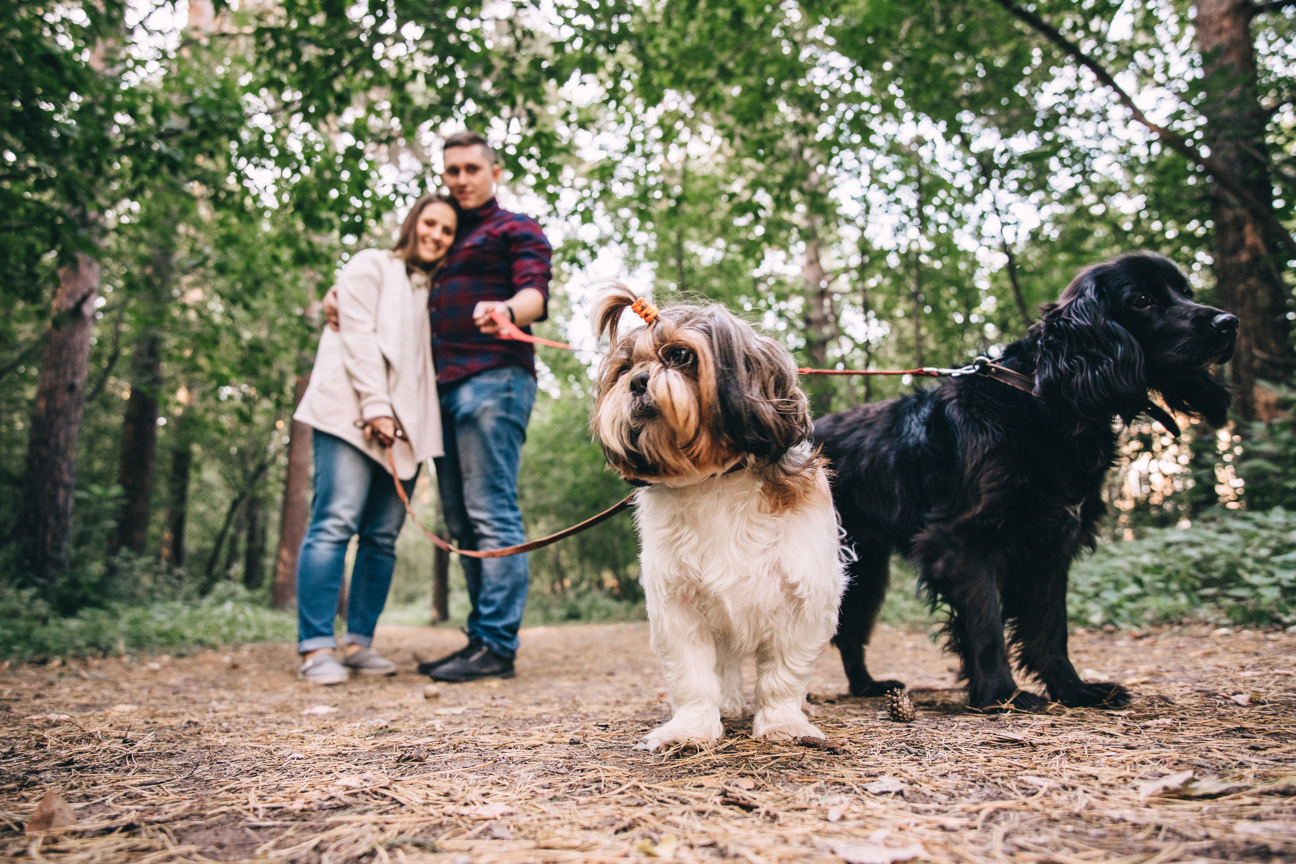 Вечерние радости. Свадебный фотограф в Новосибирске Анастасия Бантик