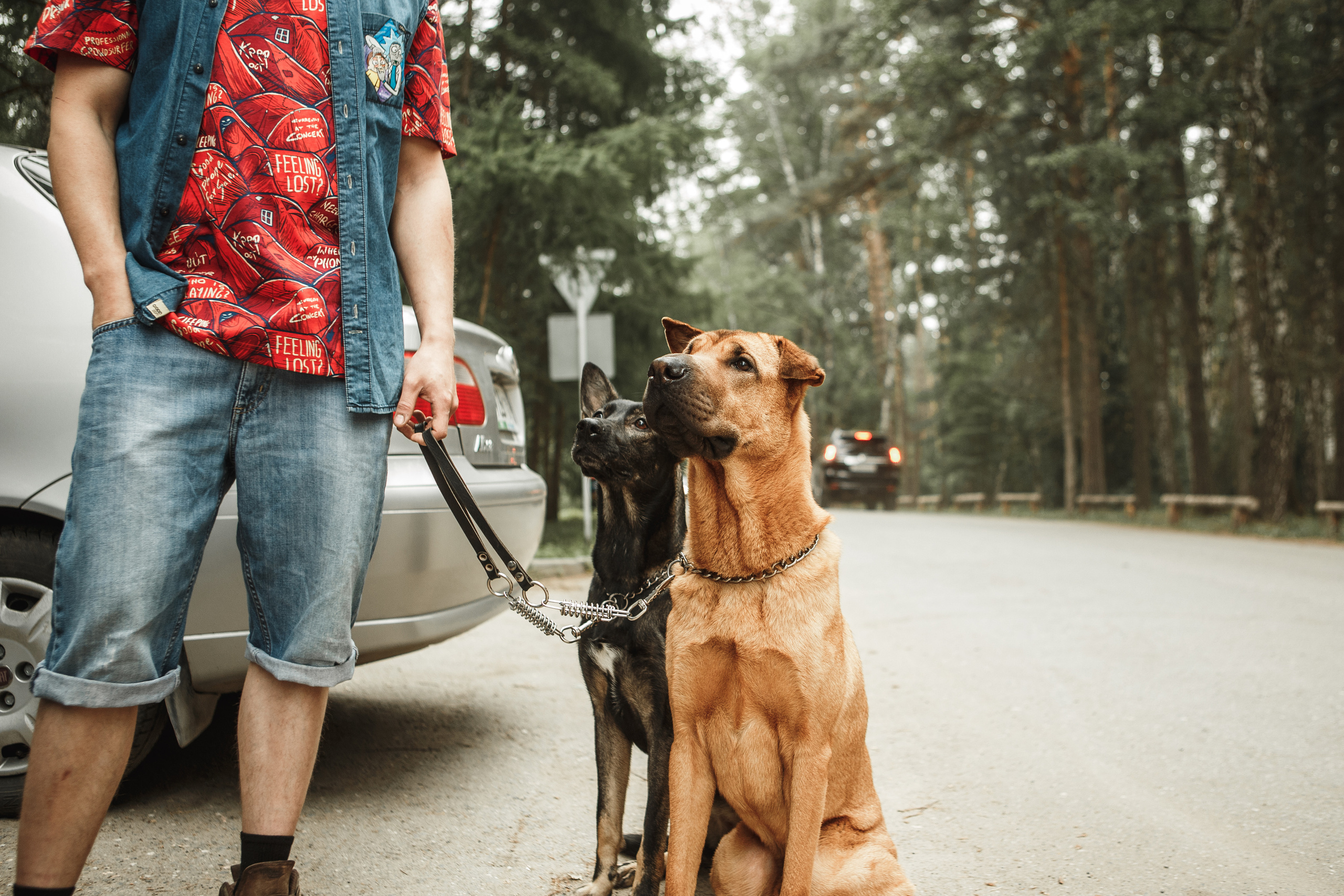 Любить люпины и собак!. Свадебный фотограф в Новосибирске Анастасия Бантик