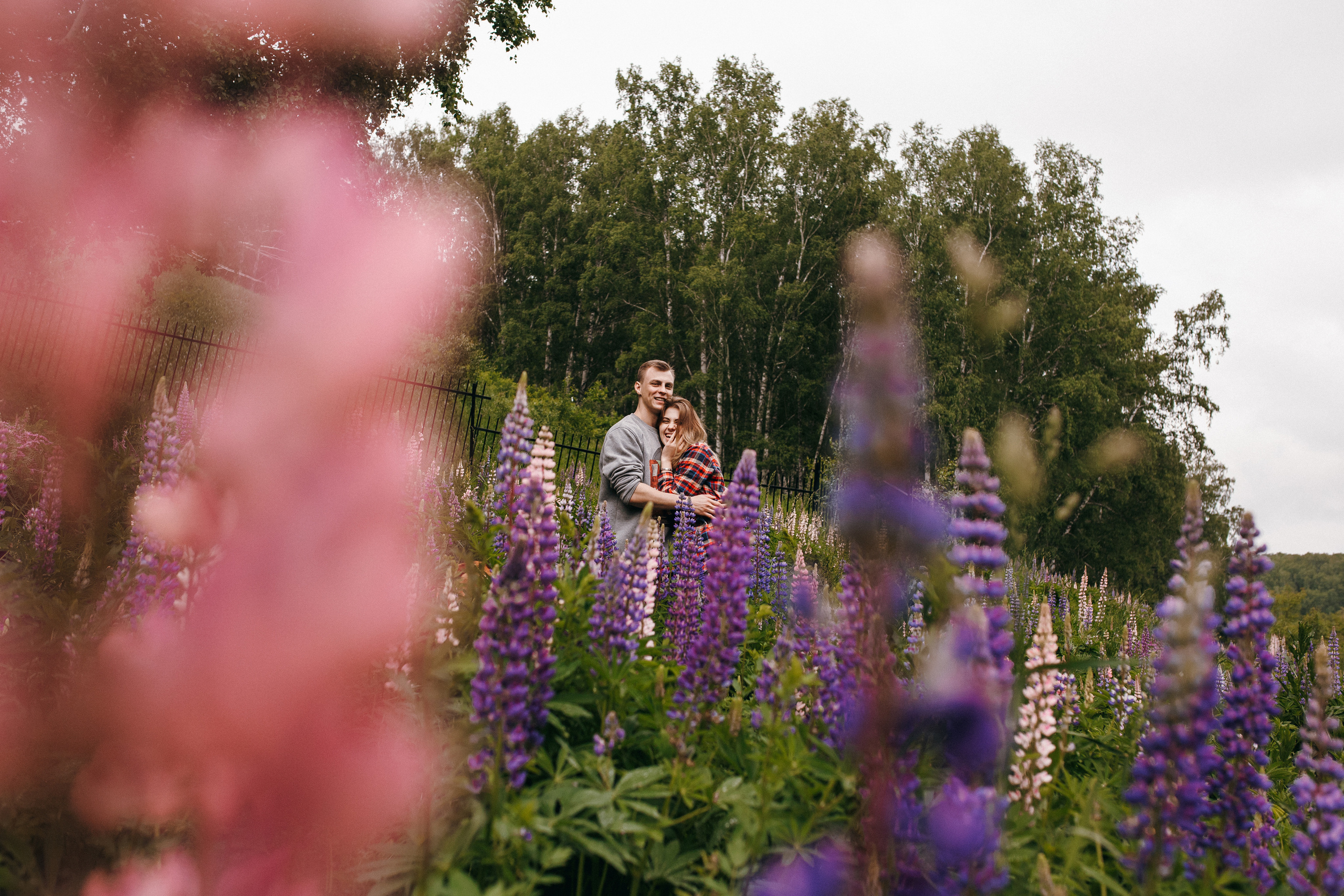 Любить люпины и собак!. Свадебный фотограф в Новосибирске Анастасия Бантик