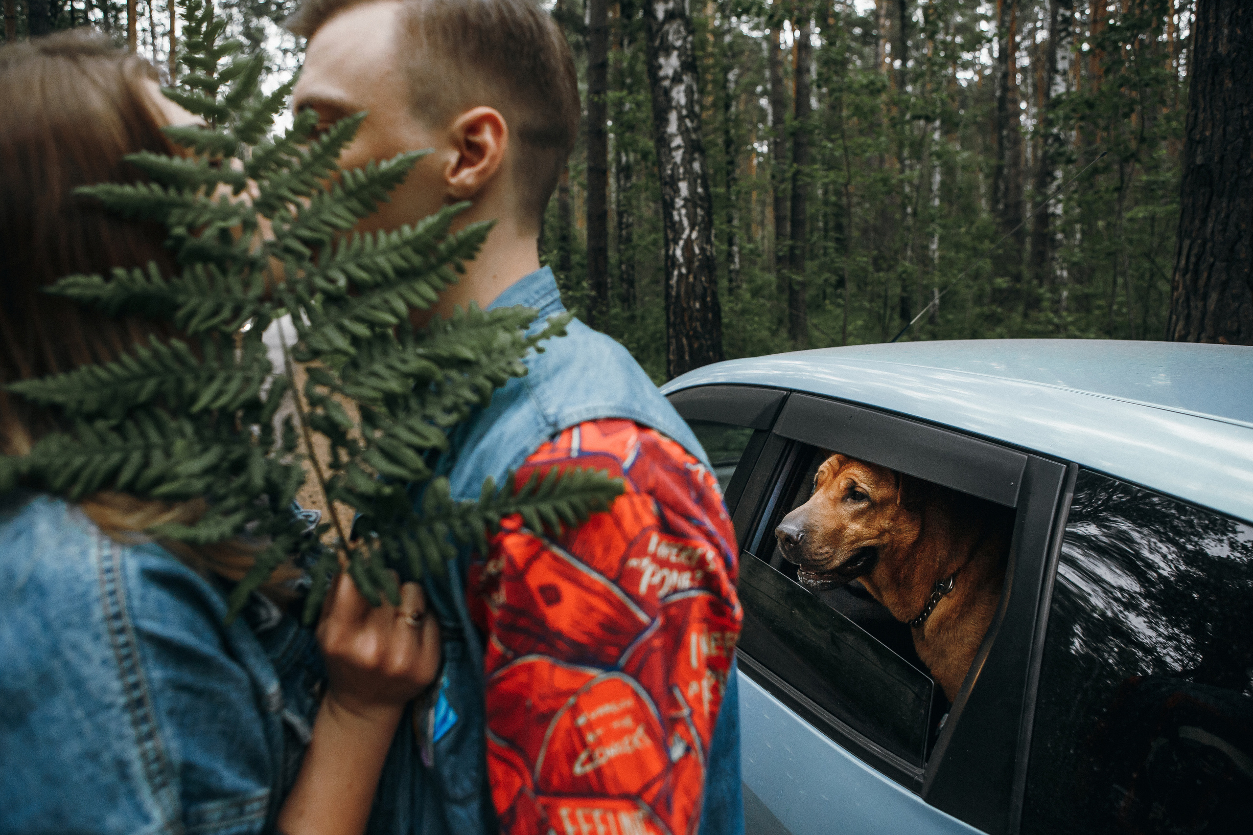 Любить люпины и собак!. Свадебный фотограф в Новосибирске Анастасия Бантик