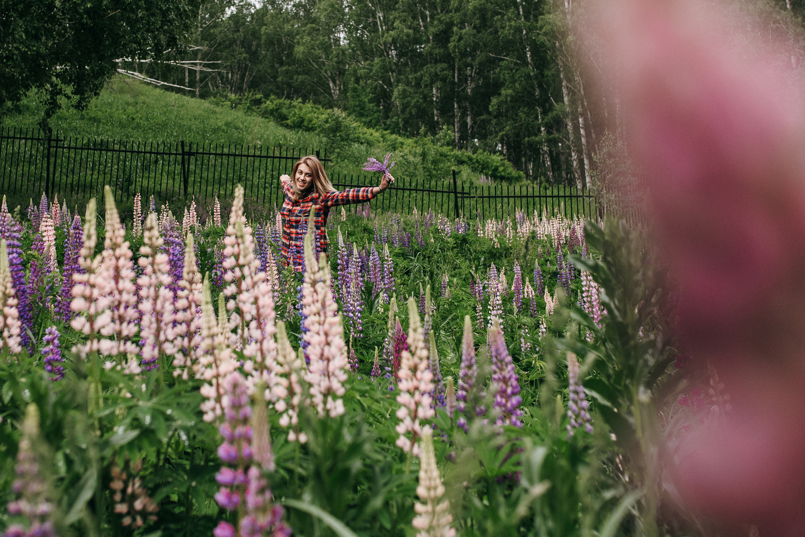 Любить люпины и собак!. Свадебный фотограф в Новосибирске Анастасия Бантик