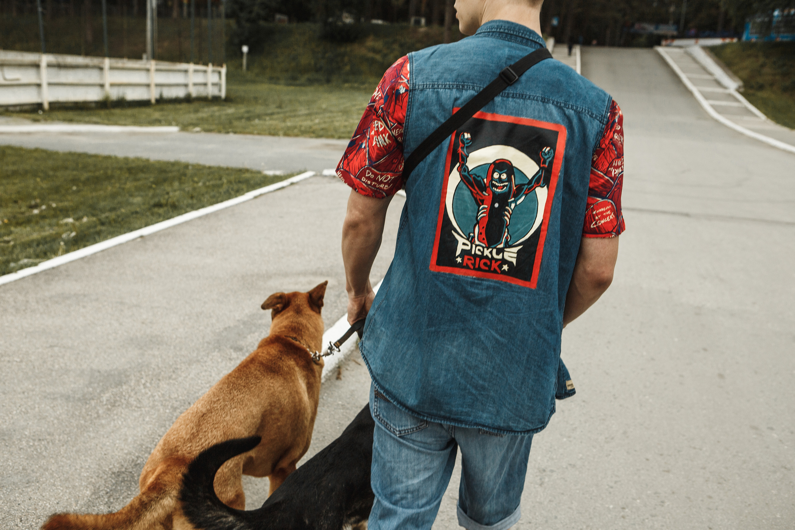 Любить люпины и собак!. Свадебный фотограф в Новосибирске Анастасия Бантик