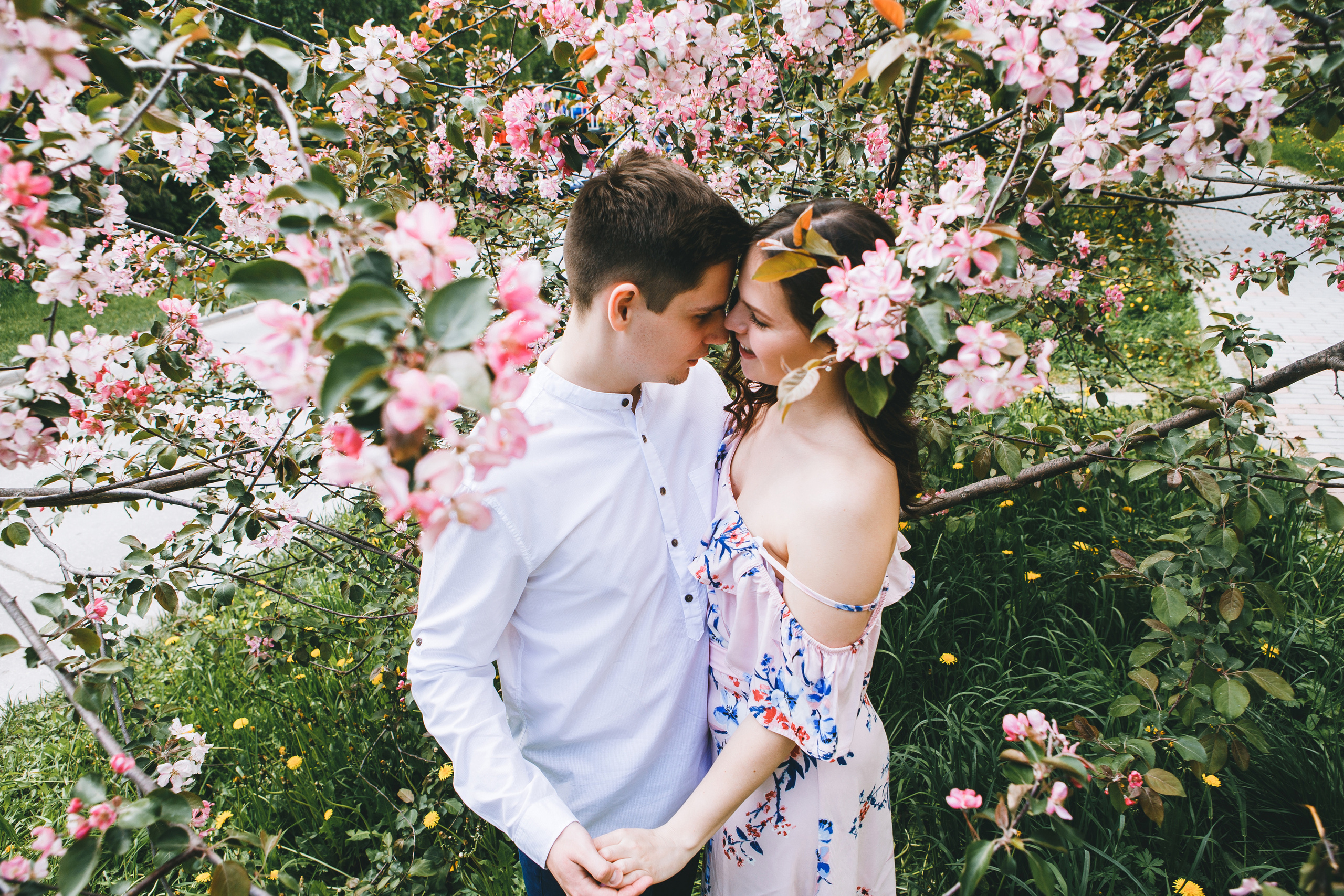 От цвета к морю. Свадебный фотограф в Новосибирске Анастасия Бантик