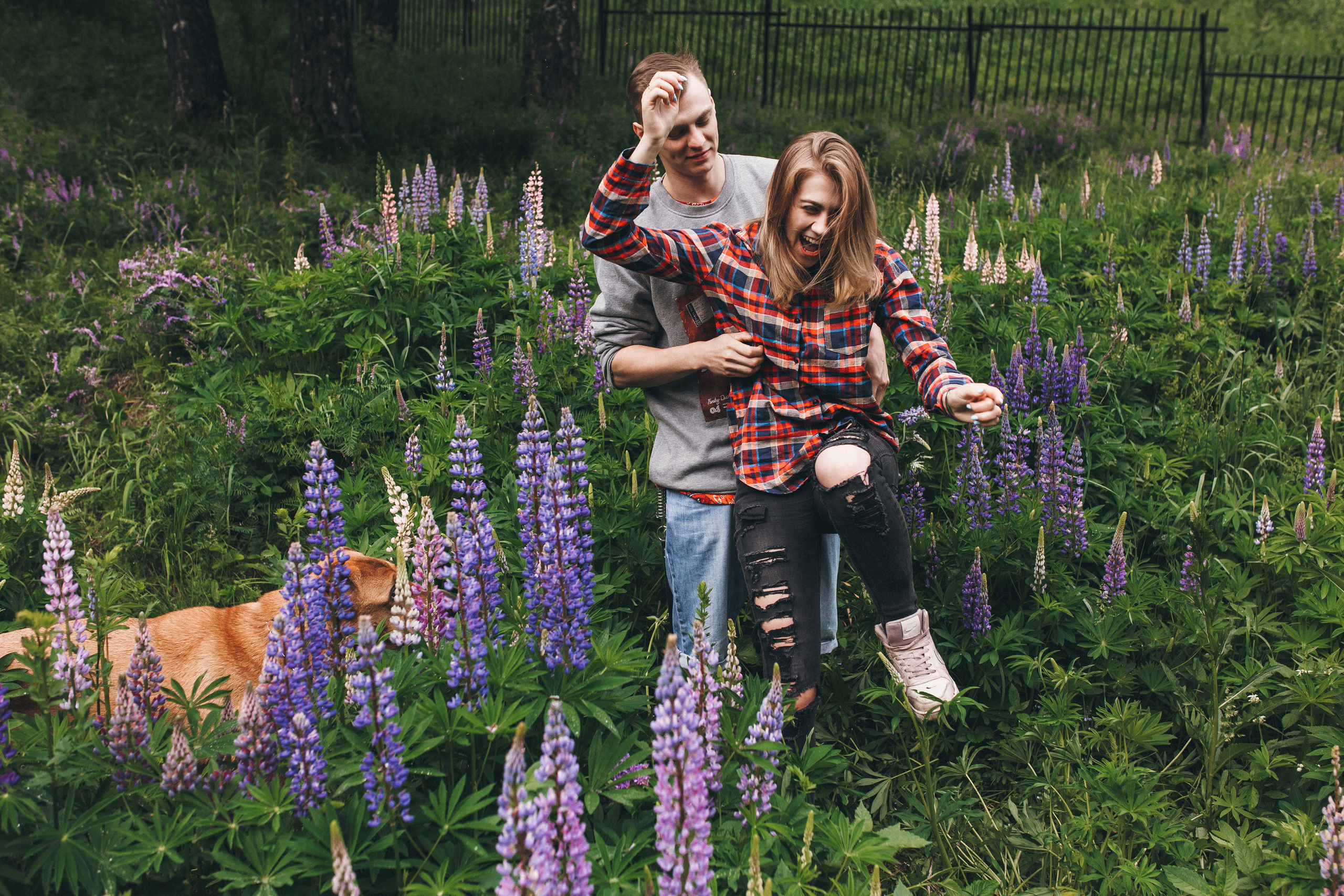 Любить люпины и собак!. Свадебный фотограф в Новосибирске Анастасия Бантик