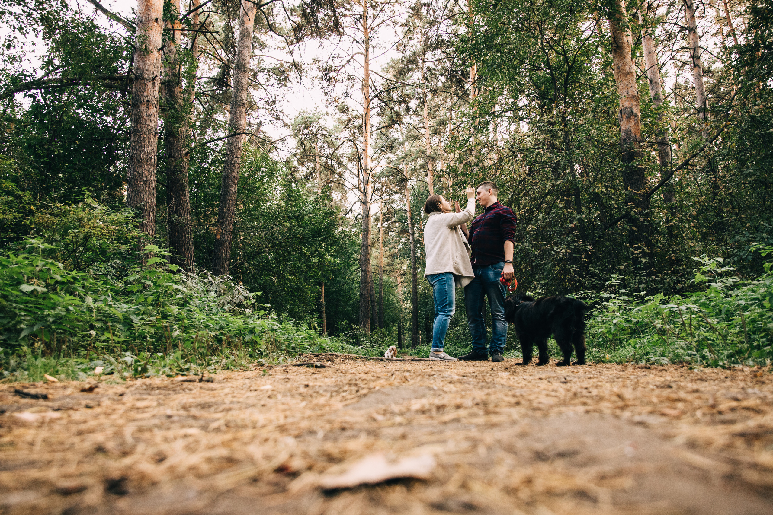 Вечерние радости. Свадебный фотограф в Новосибирске Анастасия Бантик