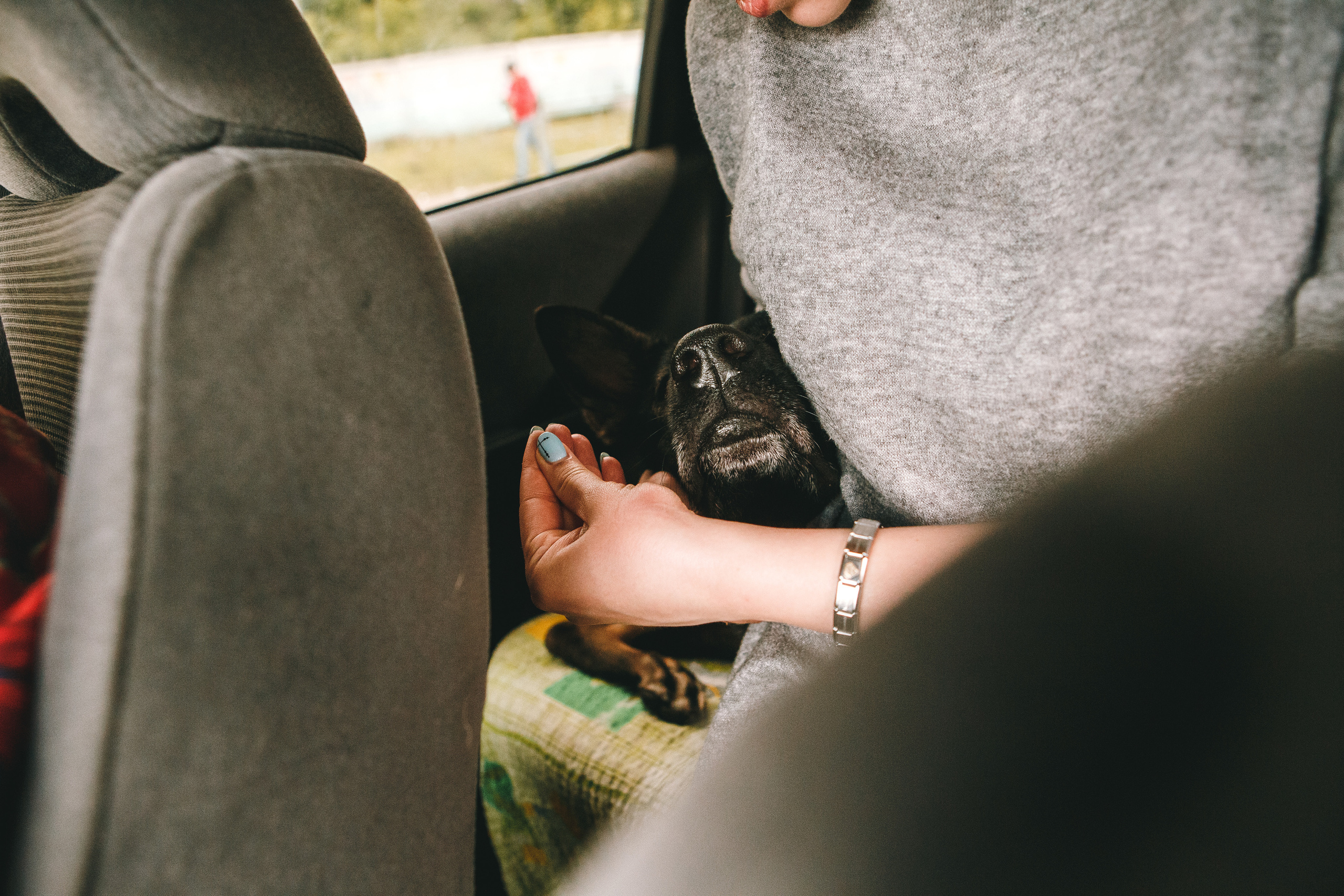 Любить люпины и собак!. Свадебный фотограф в Новосибирске Анастасия Бантик