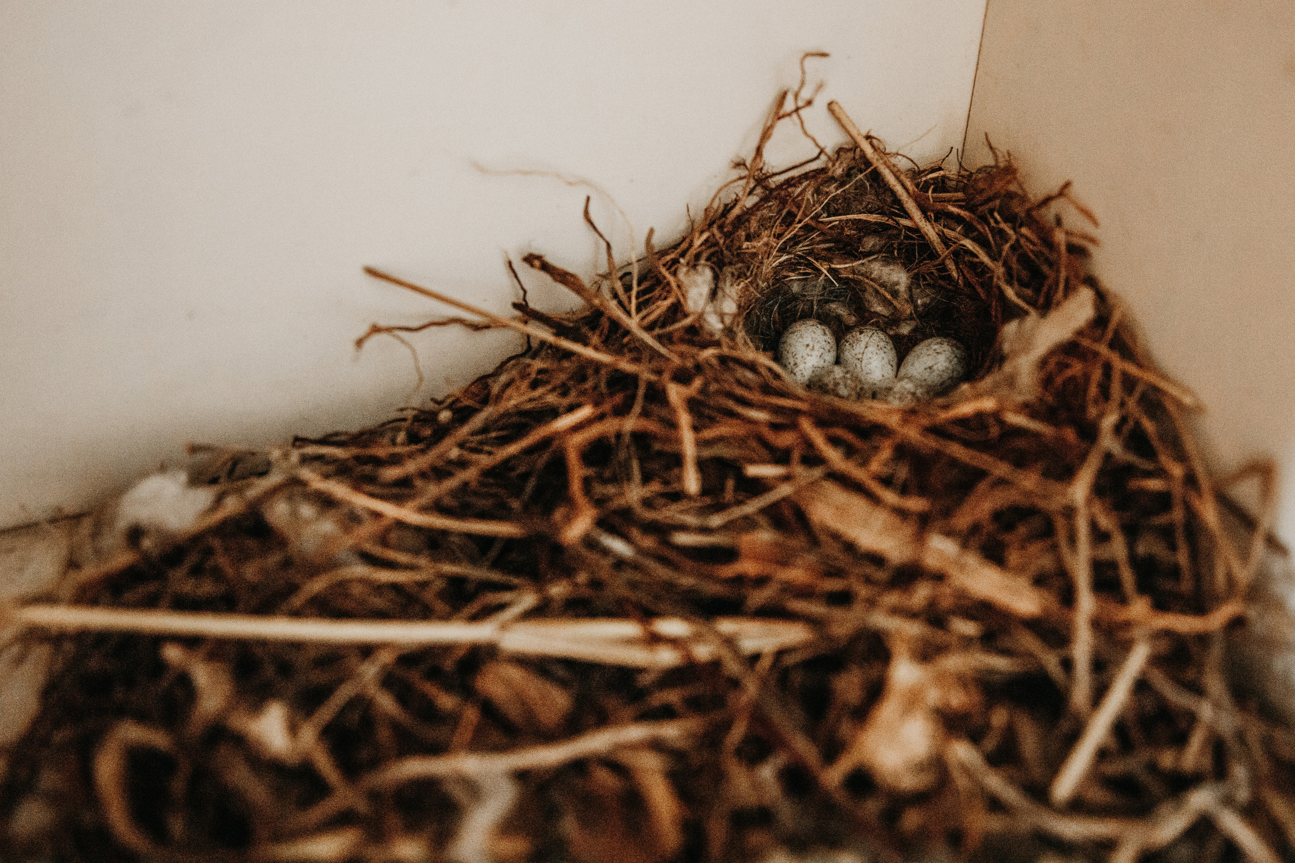 Дебаркадер. Свадебный фотограф в Новосибирске Анастасия Бантик