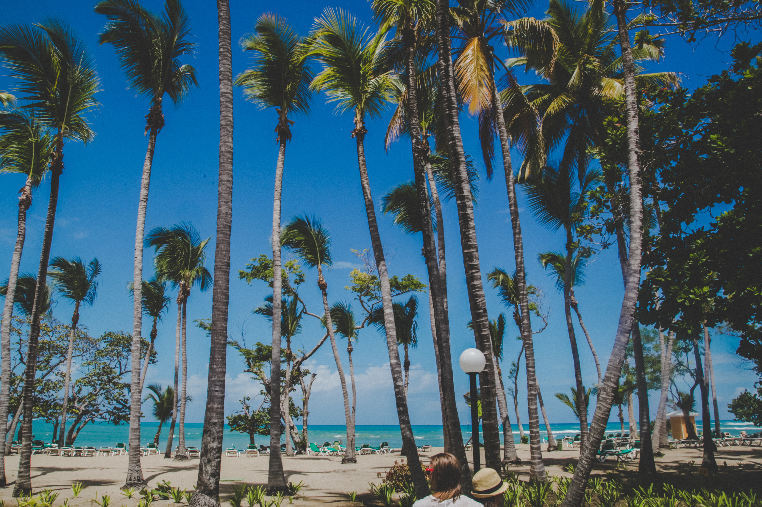 D O M I N I CA N A ' 18. Свадебный фотограф Москва Европа Мария Коренчук