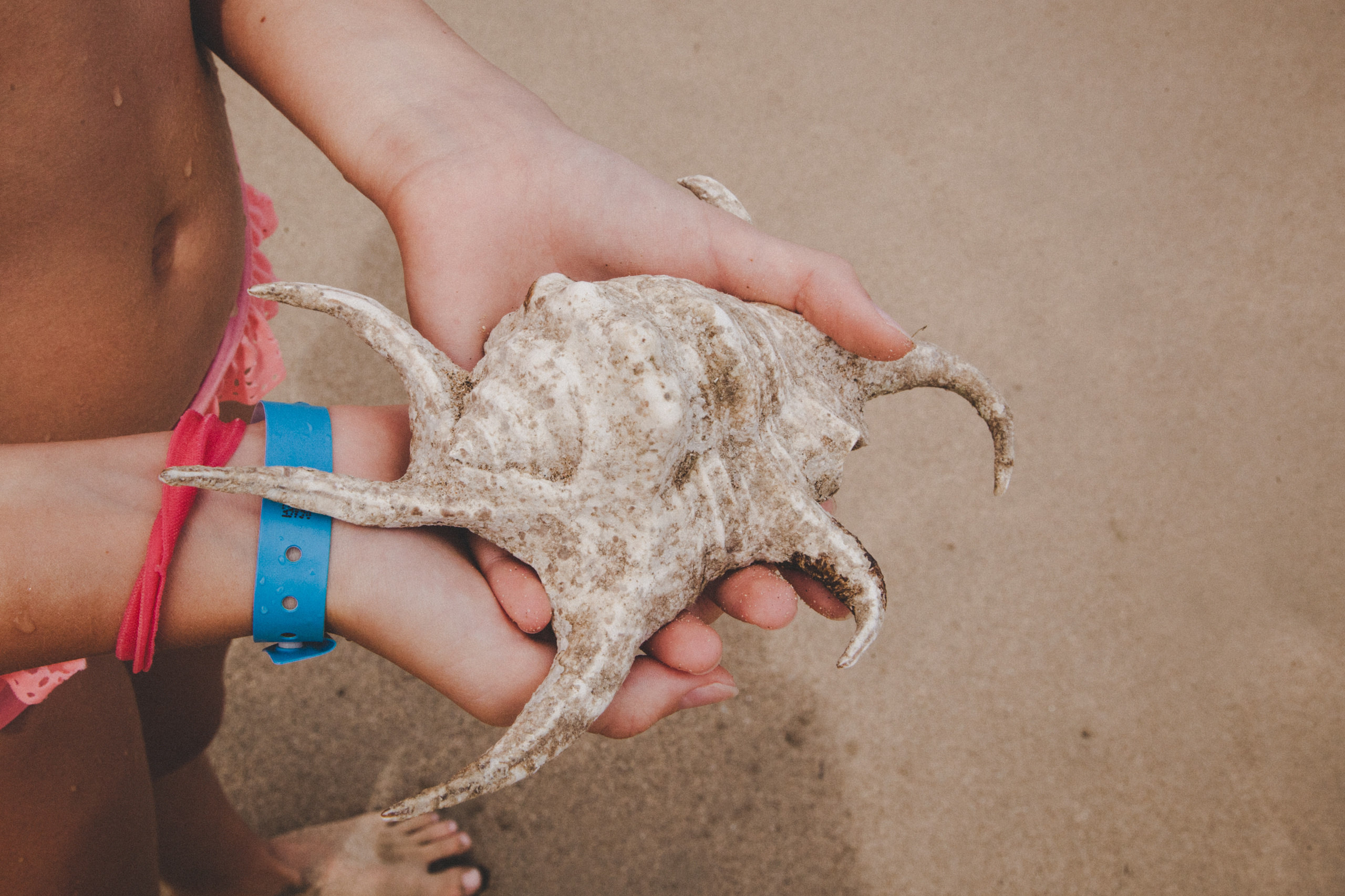 D O M I N I CA N A ' 18. Свадебный фотограф Москва Европа Мария Коренчук