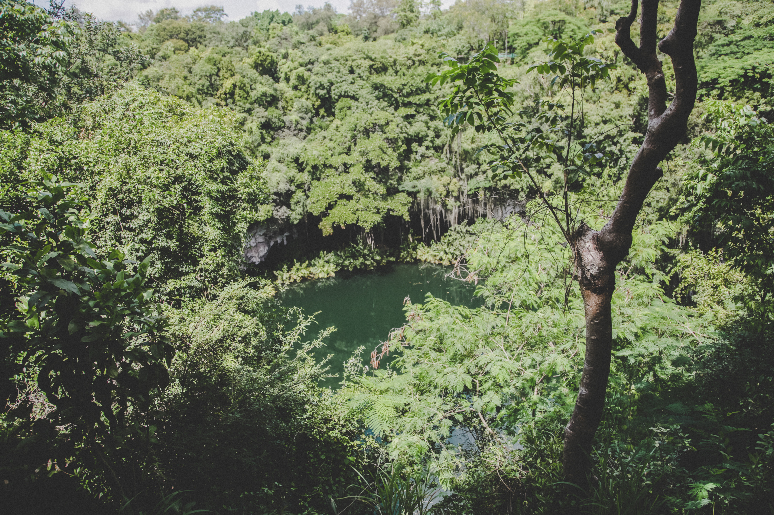 D O M I N I CA N A ' 18. Свадебный фотограф Москва Европа Мария Коренчук