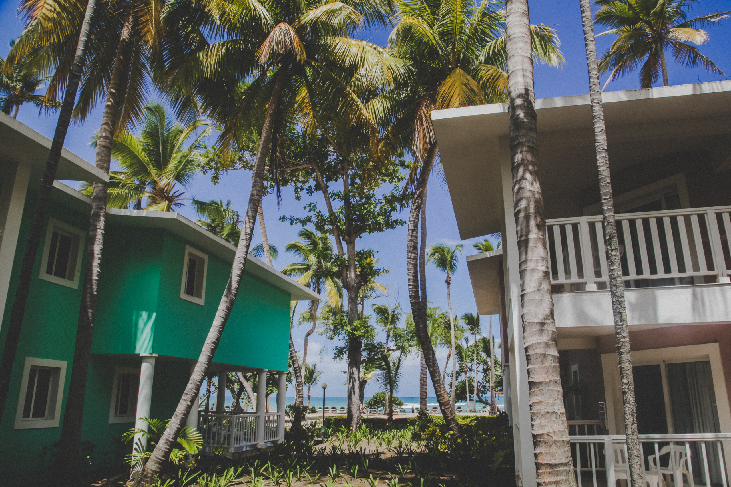 D O M I N I CA N A ' 18. Свадебный фотограф Москва Европа Мария Коренчук