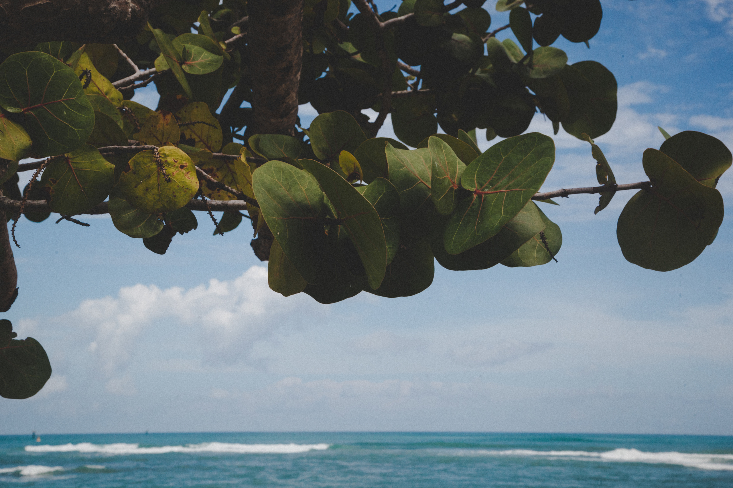 D O M I N I CA N A ' 18. Свадебный фотограф Москва Европа Мария Коренчук