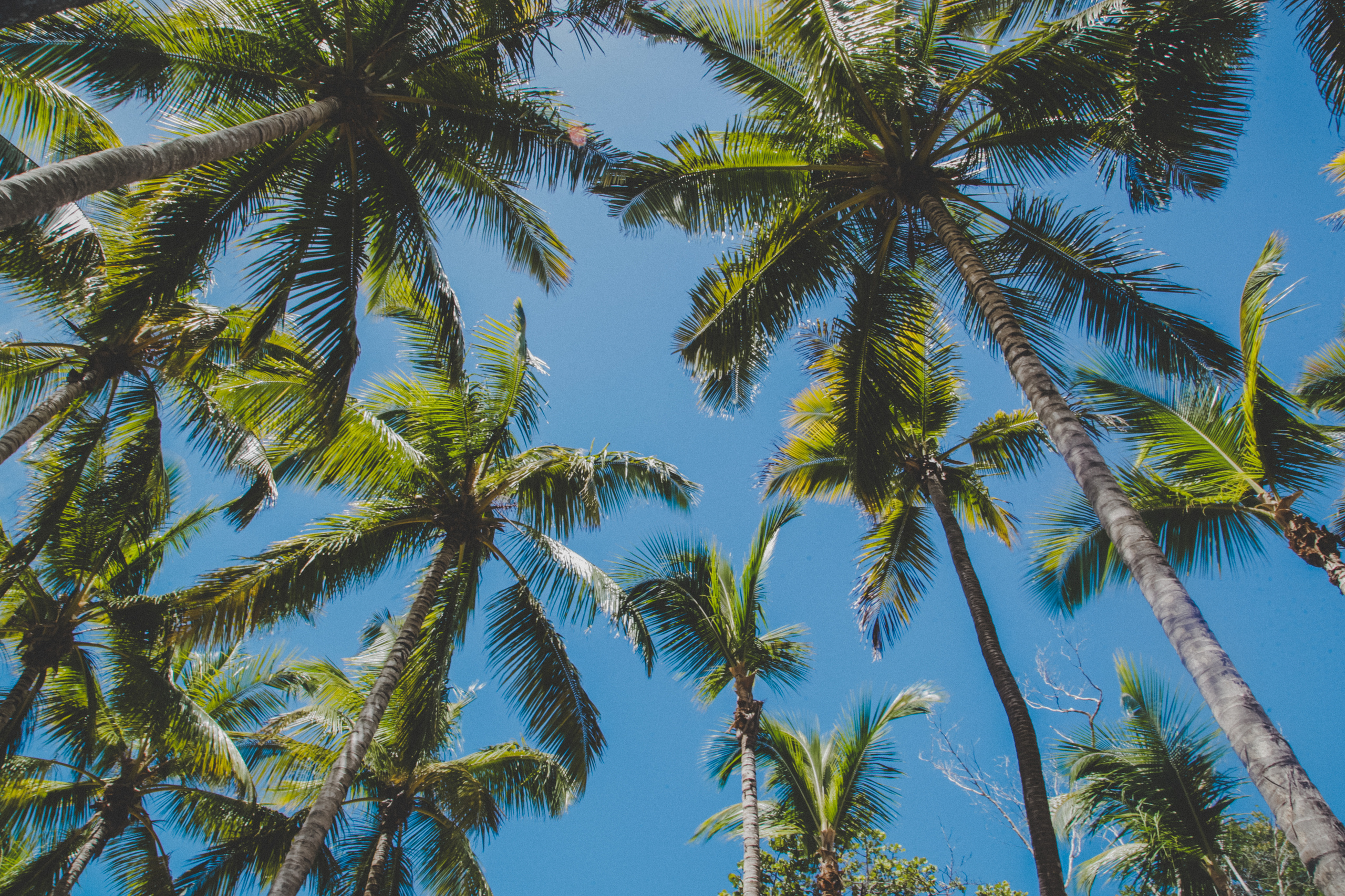 D O M I N I CA N A ' 18. Свадебный фотограф Москва Европа Мария Коренчук