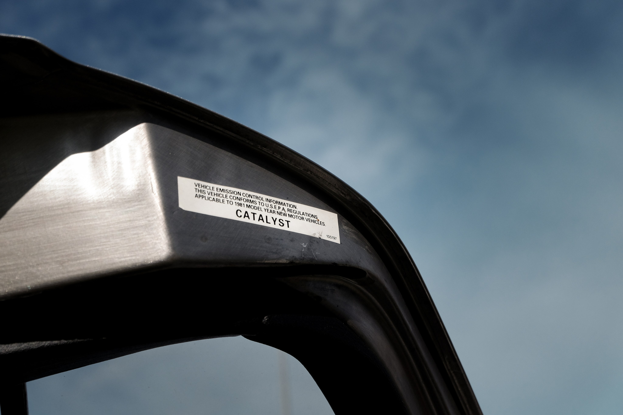 Tsunami Picnic 2024. Александр Попов