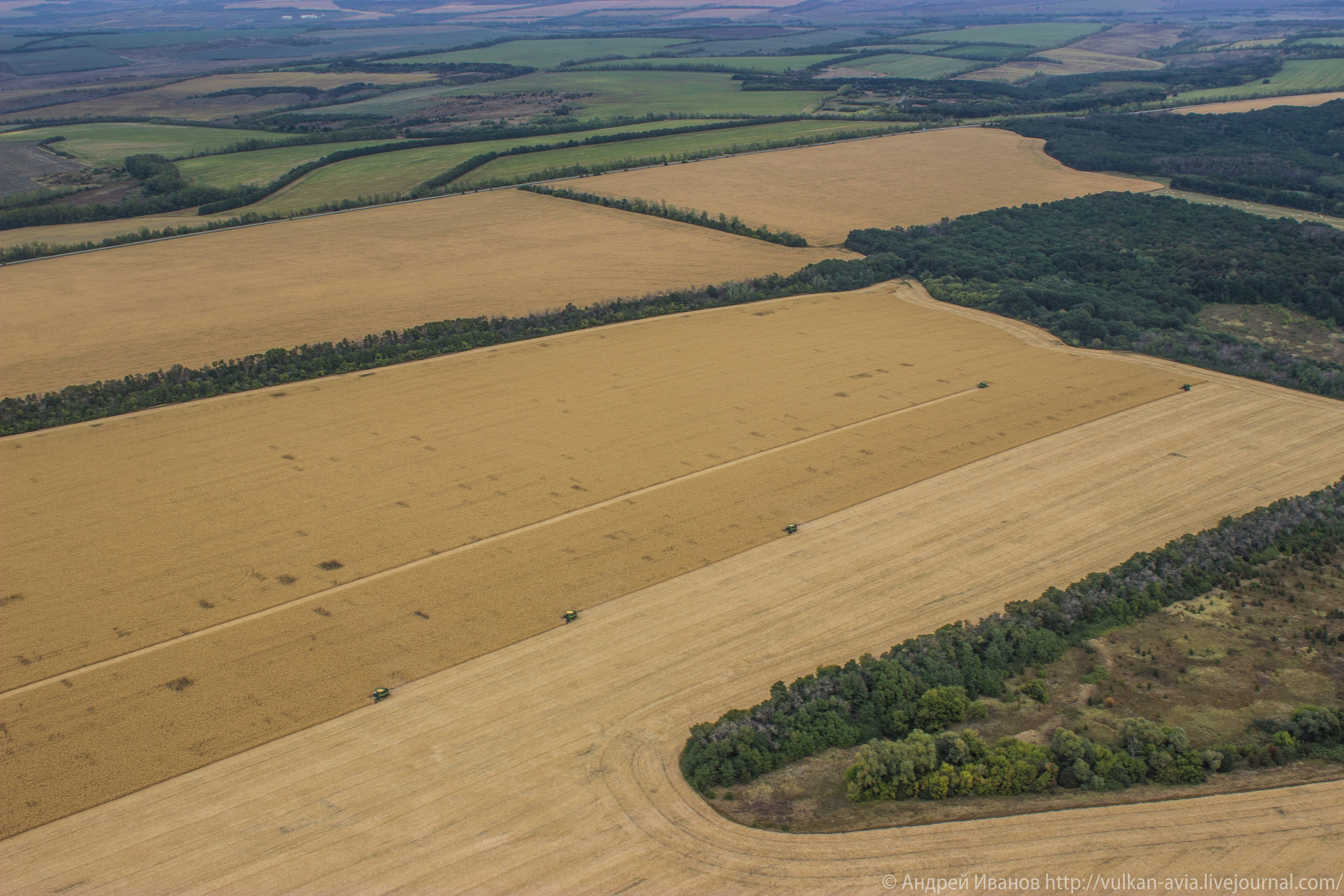 Волгодонск аэр. Потапов слёт «Небо для всех» (2021 г.). Фотоальбом показывающий увлекательный мир авиации и мир медведей Андрея Иванова
