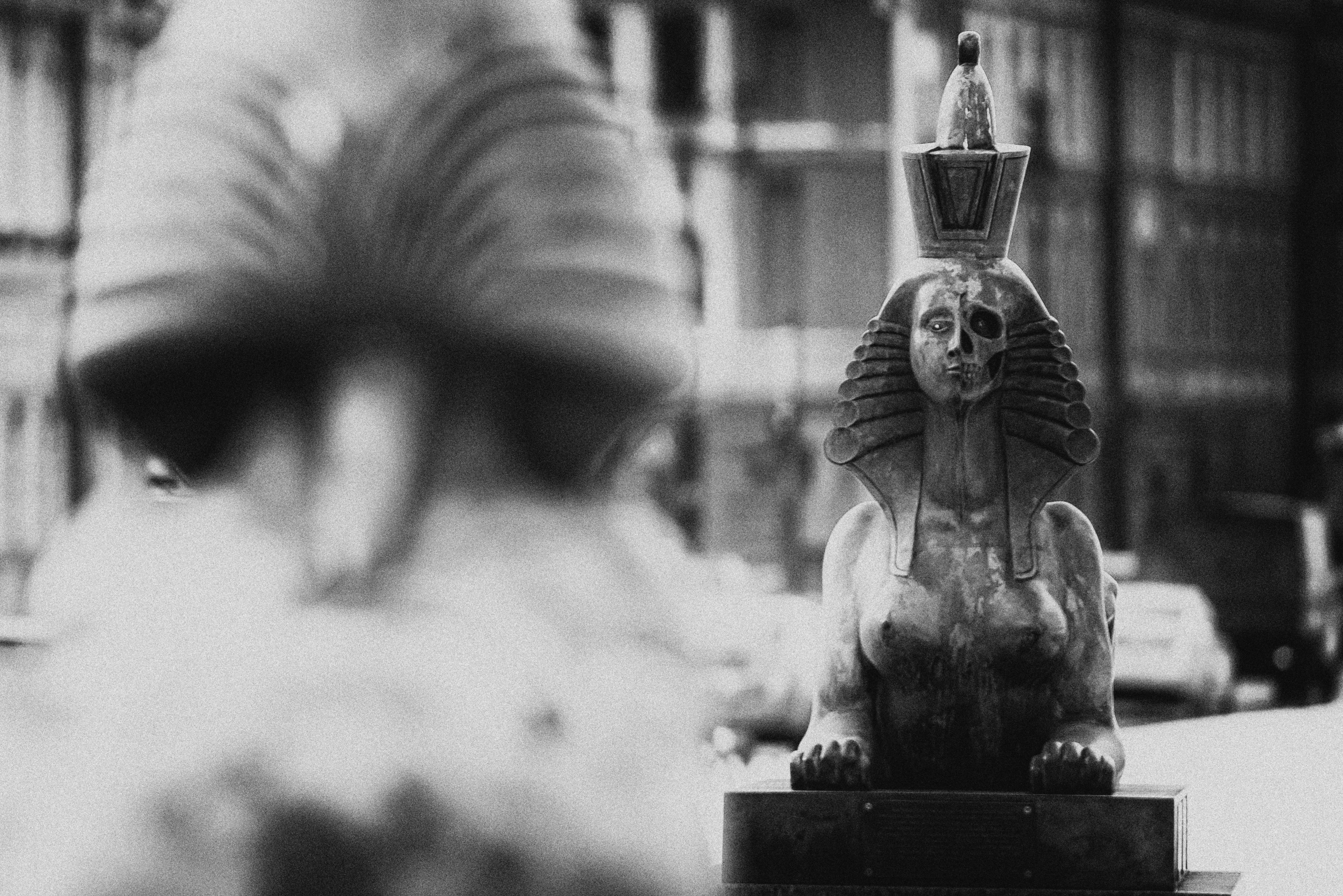 Dimitri Bakhtadze, single works photos. Dimitri Bakhtadze photographer