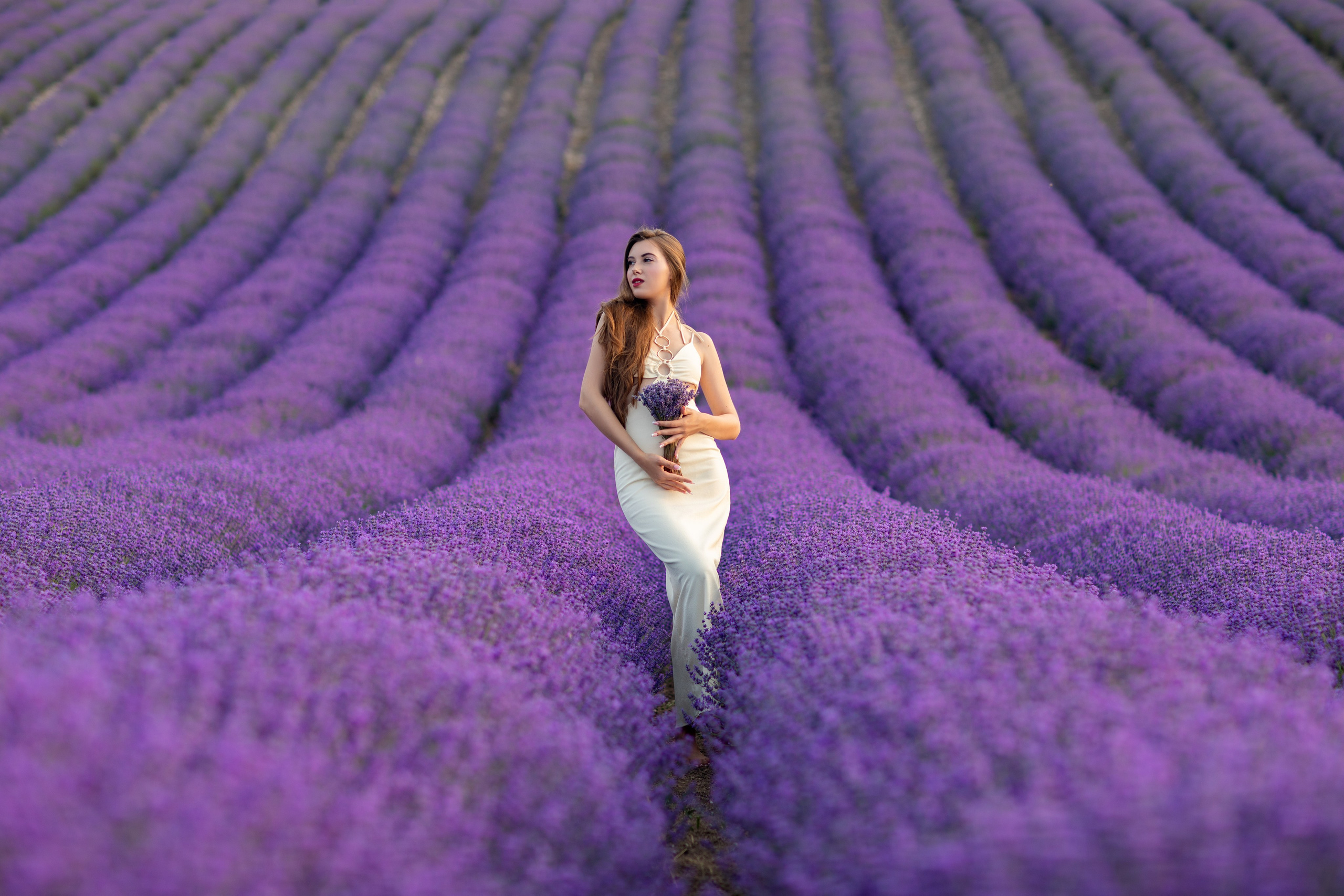 ЛАВАНДА. Фотограф Севастополь/Крым Светлана Евтушенко
