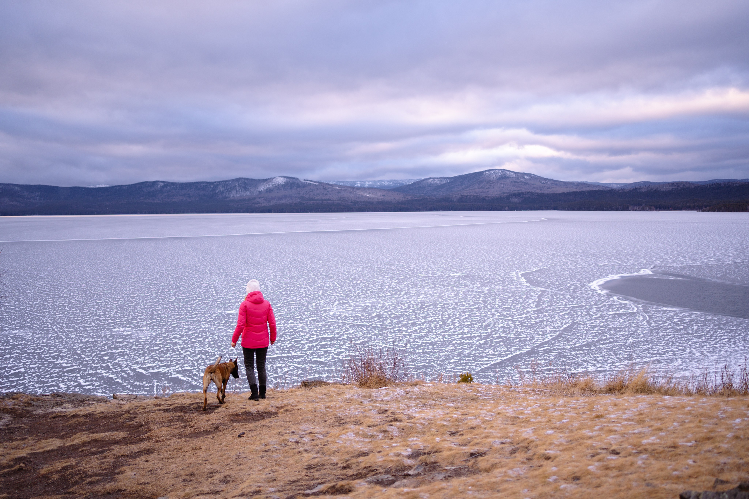 Екатерина и Барди. Фотограф-анималист Анастасия Большакова