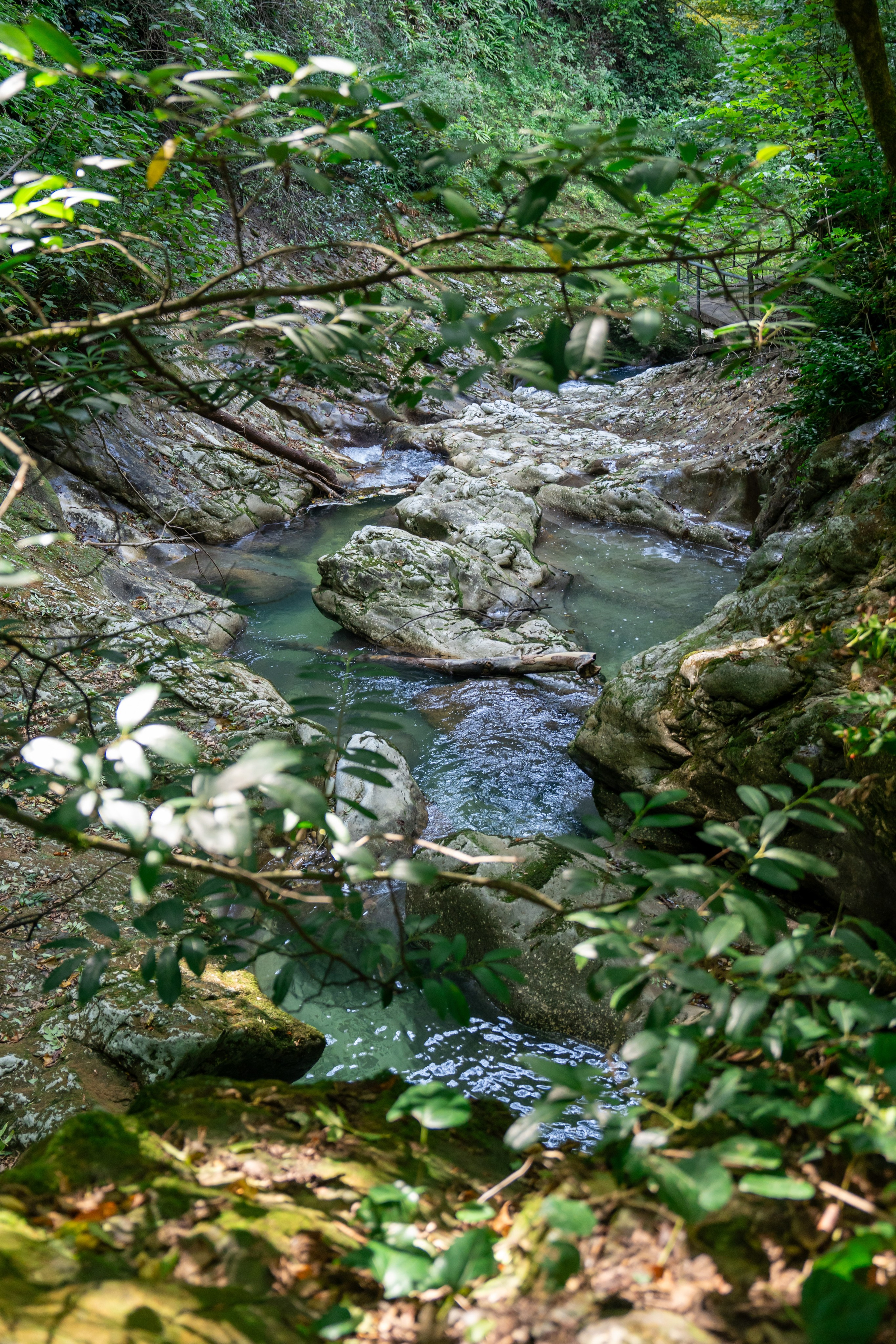 Mice мероприятие — тур по Абхазии. Репортажный фотограф в Красной Поляне и Сочи Павлюченко Екатерина
