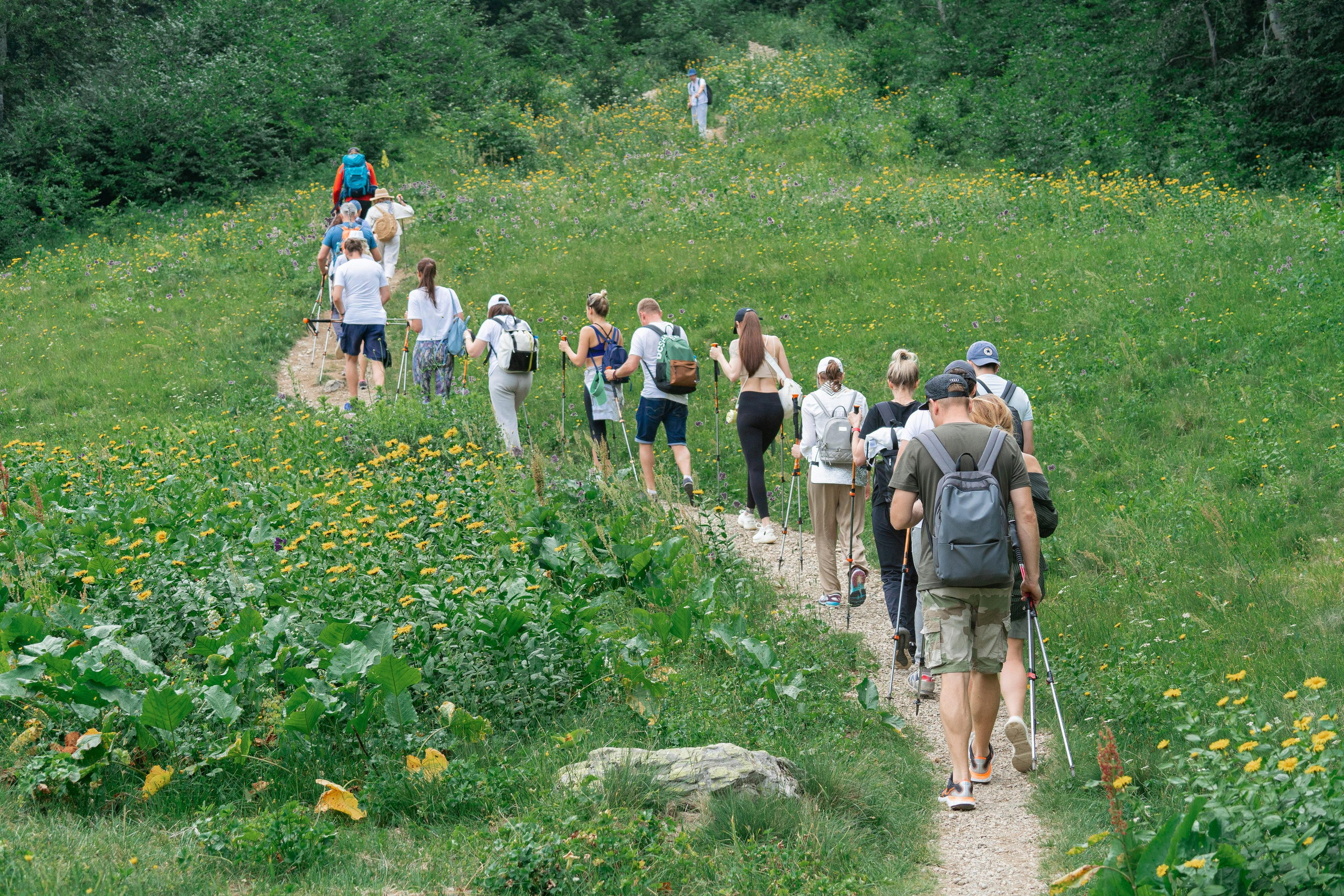 Психологический тренинг на озере Зеркальное. Репортажный фотограф в Красной Поляне и Сочи Павлюченко Екатерина