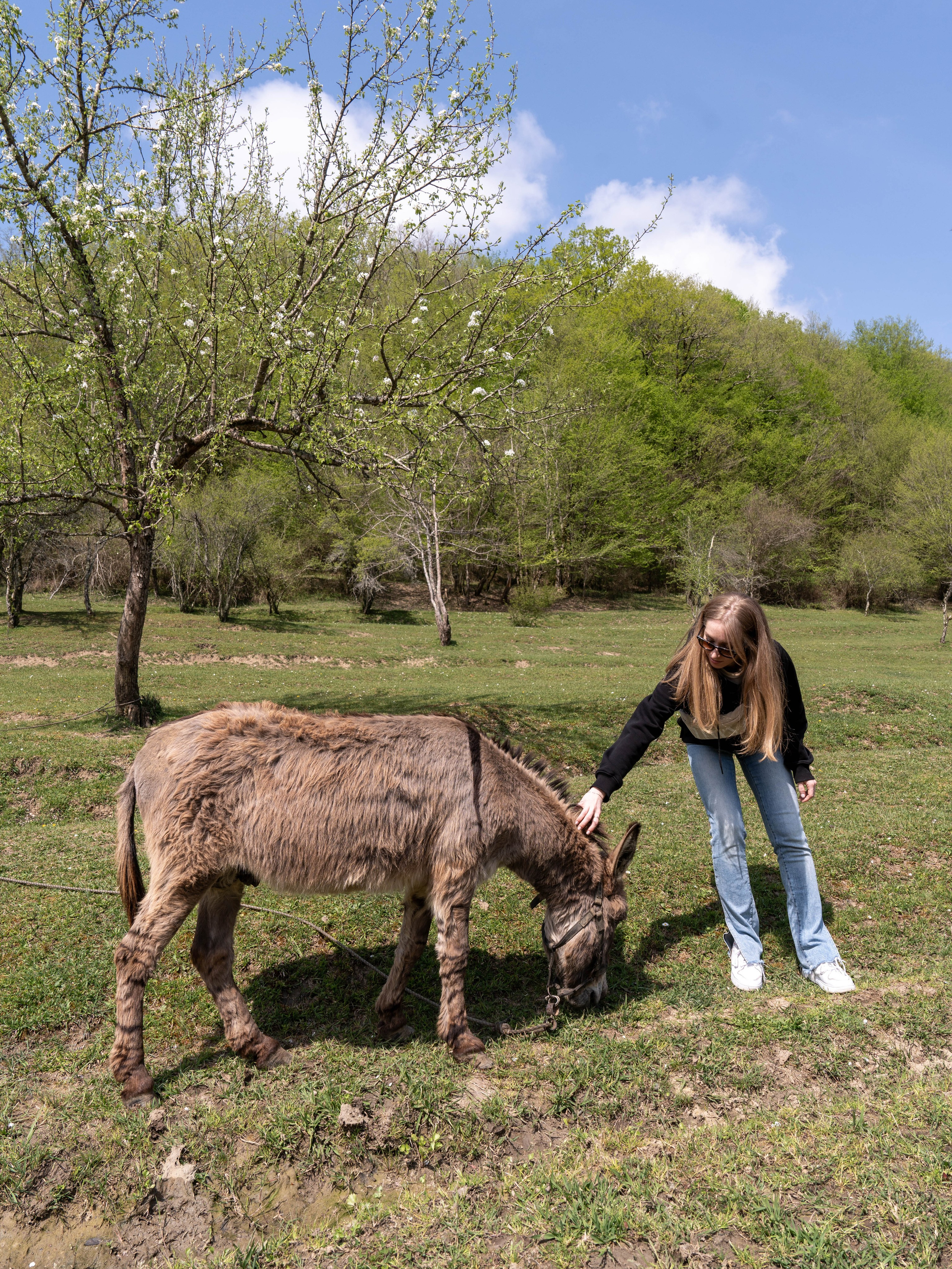 MICE мероприятие — джиппинг на каньон Псахо. Репортажный фотограф в Красной Поляне и Сочи Павлюченко Екатерина