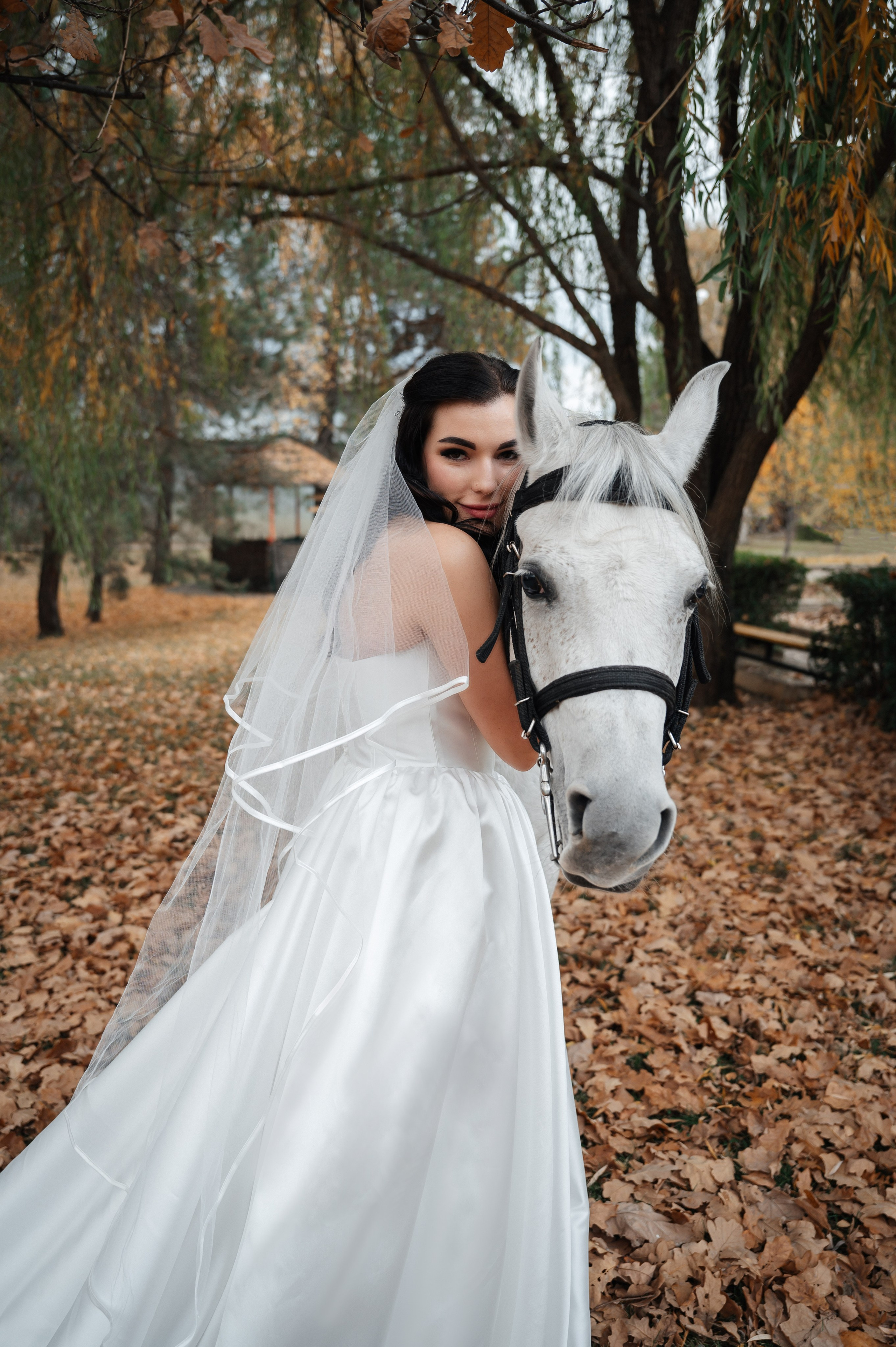 Марина Максим лошади. Фотограф Алёна Мил