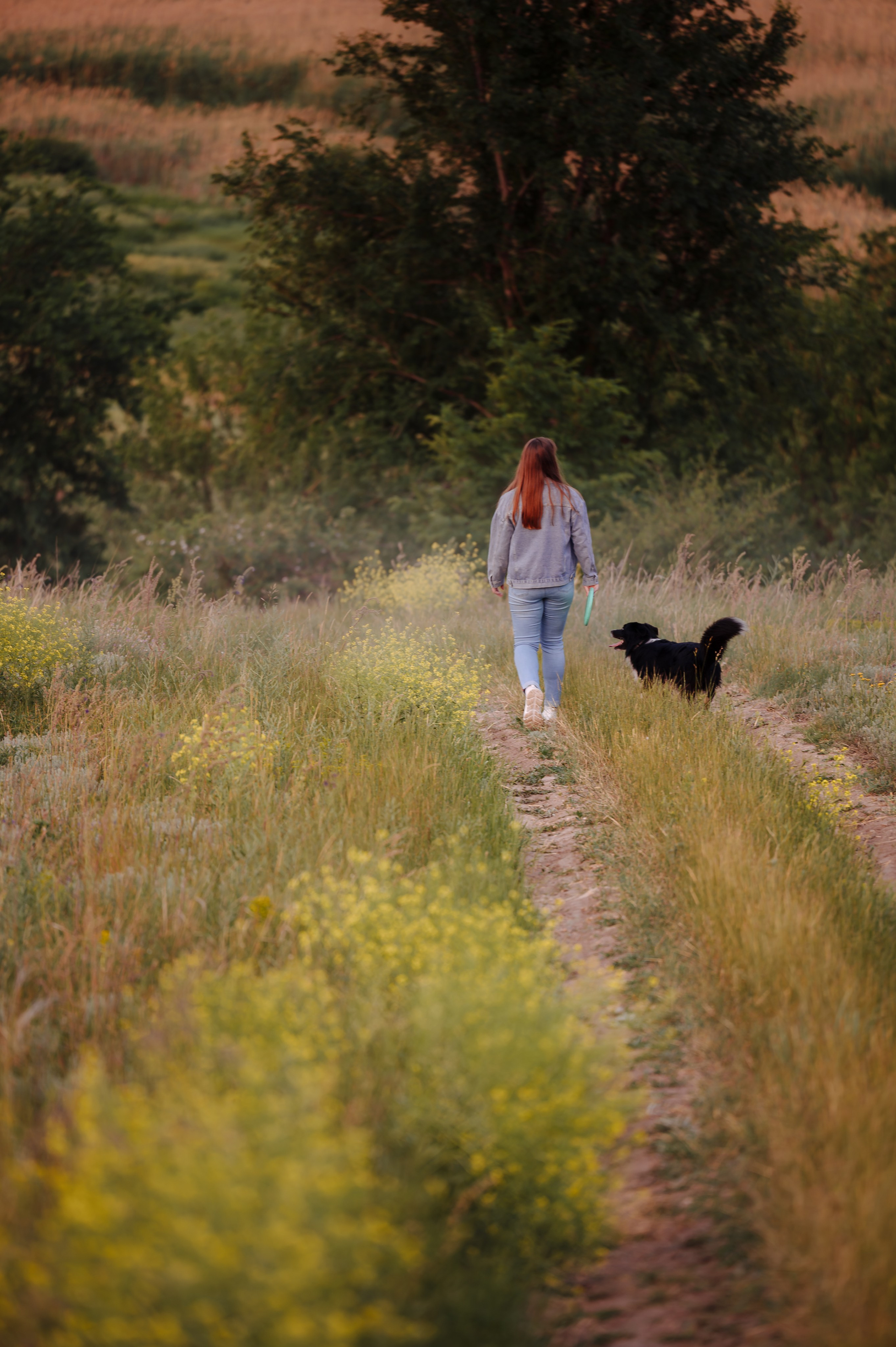 Прогулка на рассвете с бордер-колли. Фотограф в Ростове —на — Дону