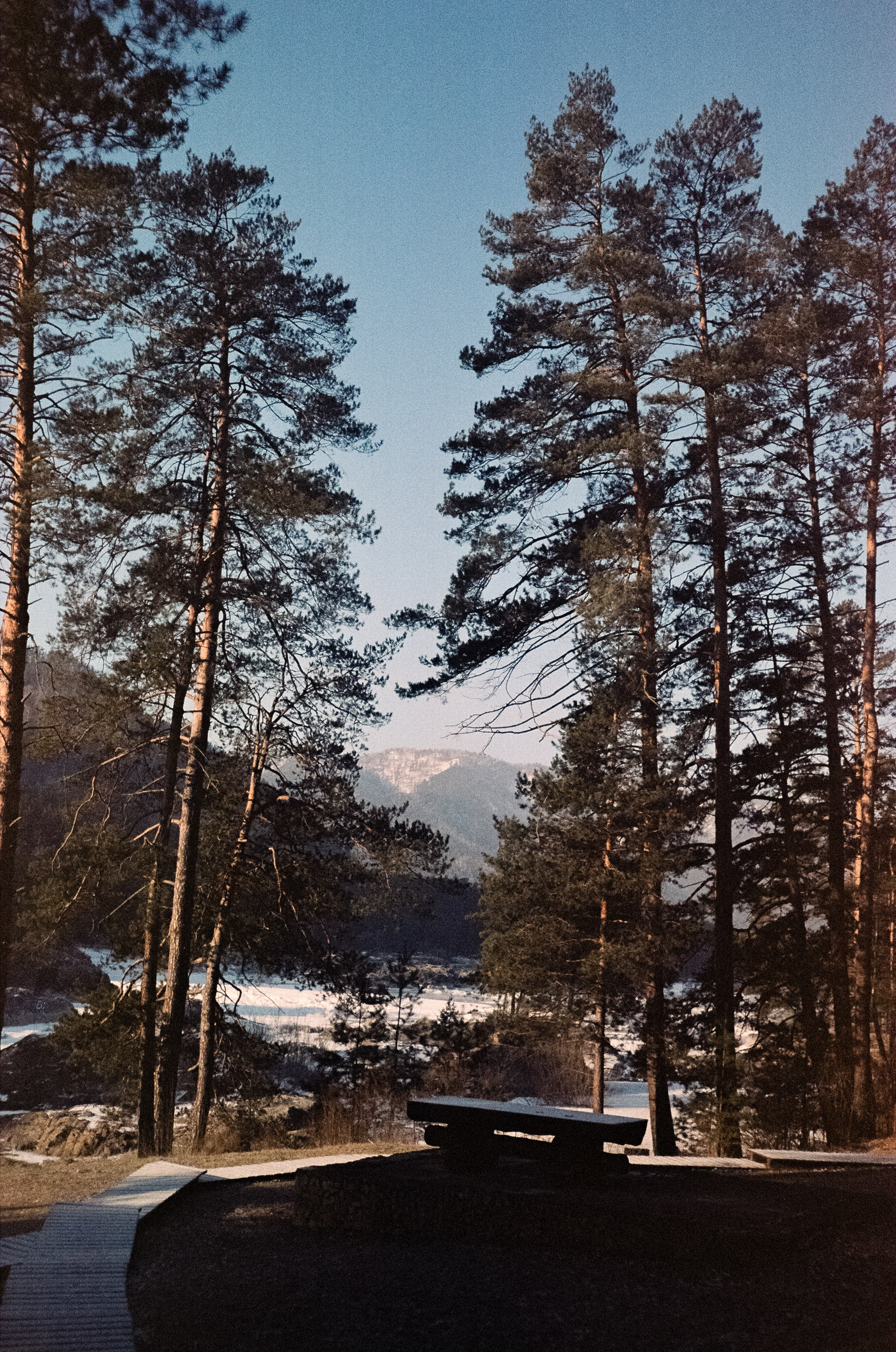 12 декабря: Кедровый остров, Семинская поляна, 13 декабря: поле у верт