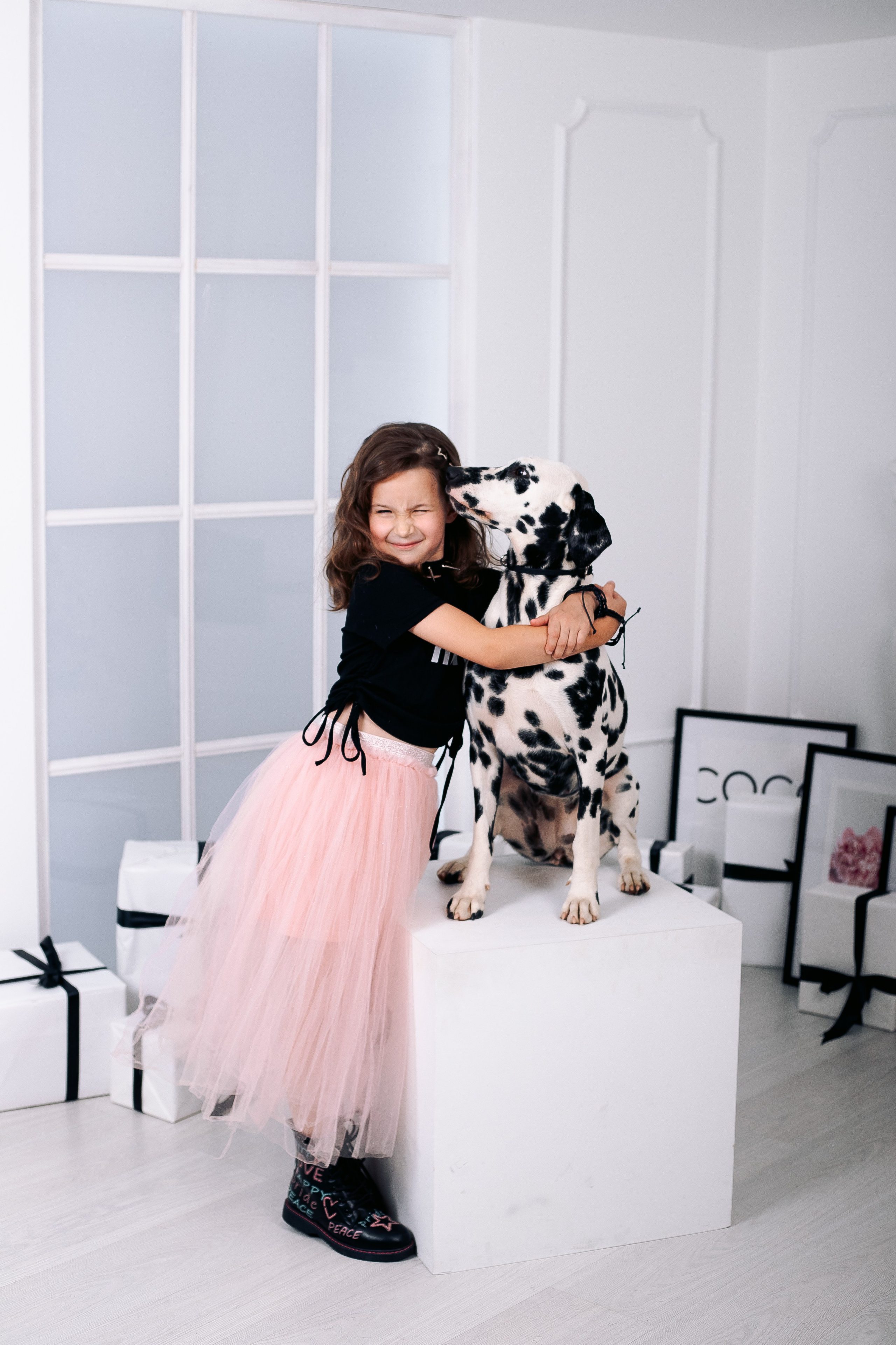 Фотосессия с далматинцами в фотостудии. Фотограф в Санкт-Петербурге, Анна Скворцова