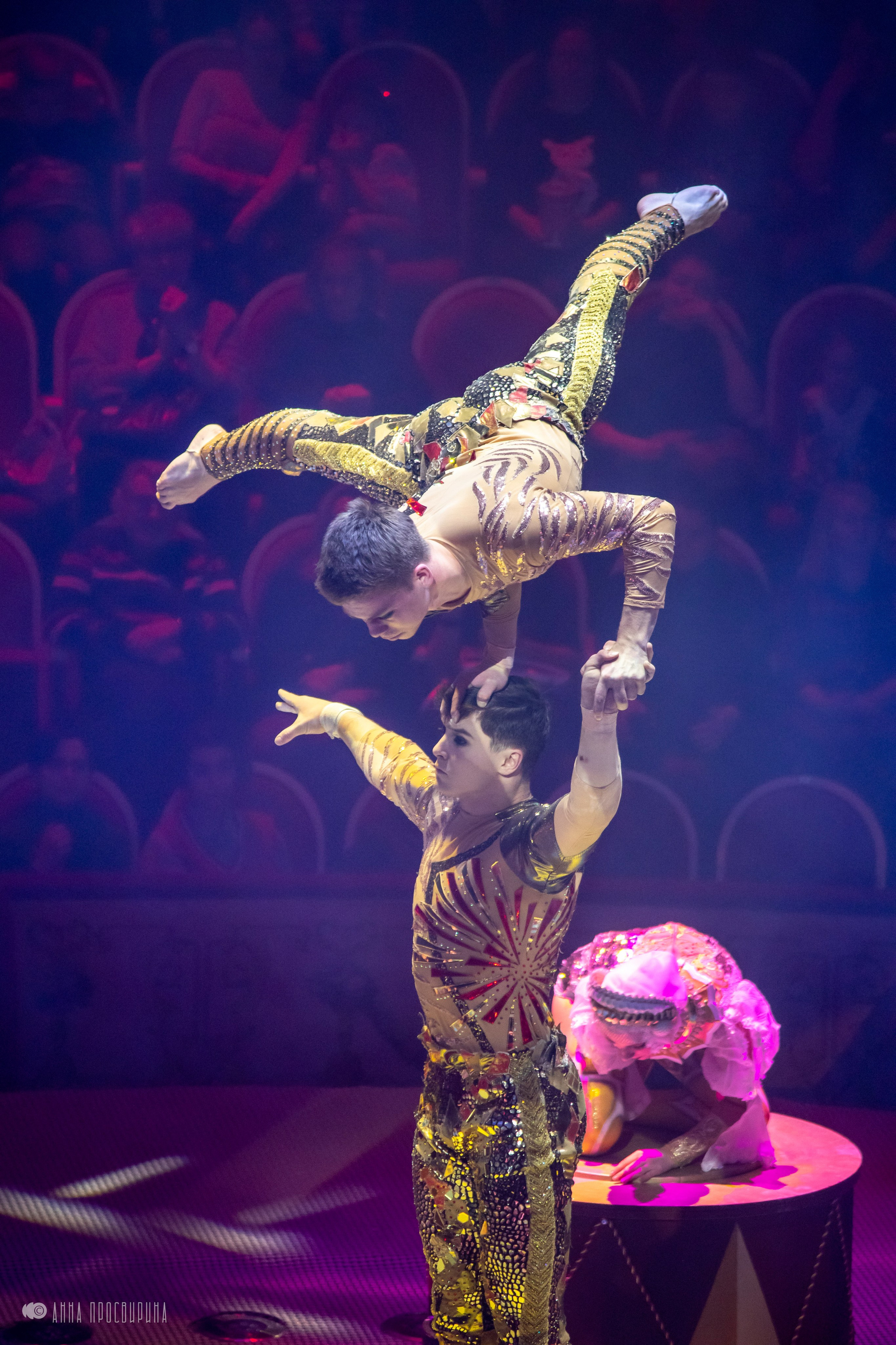 Шоу «Принц Цирка». Ваш фотограф в Санкт-Петербурге Анна Просвирина