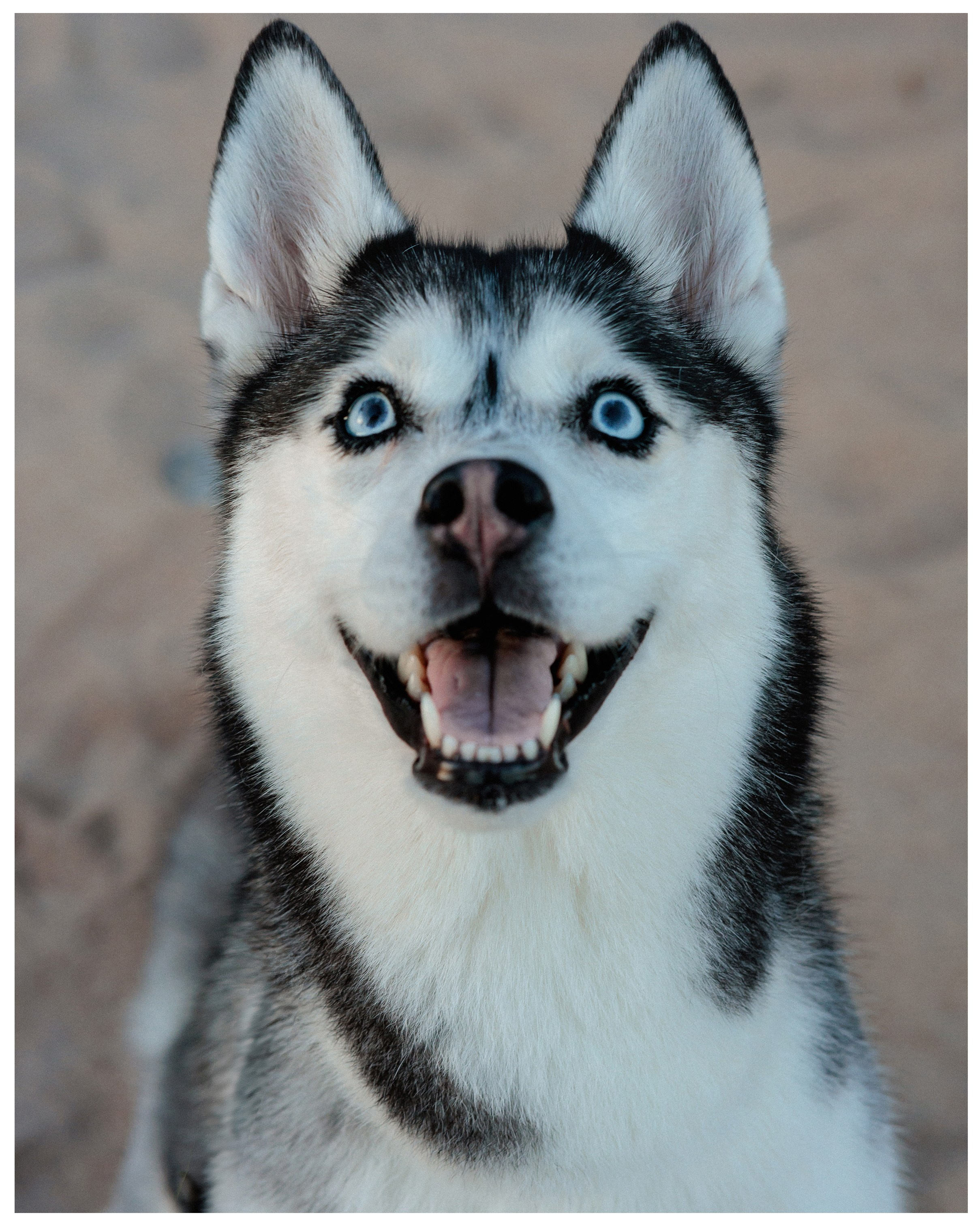 Елена и Эмми. Фотограф в Санкт-Петербурге Алёна Губинская