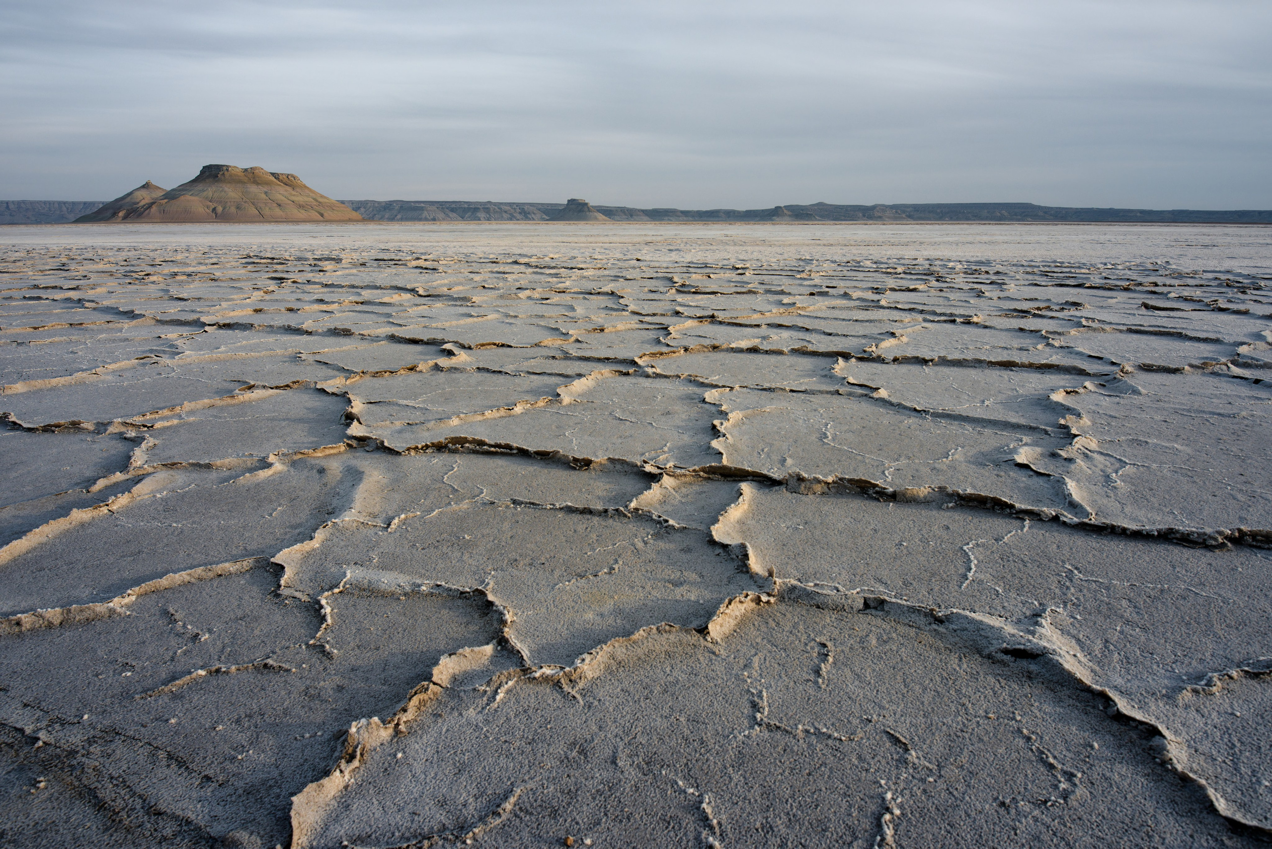 Потрескавшийся солончак на Карынжарыке