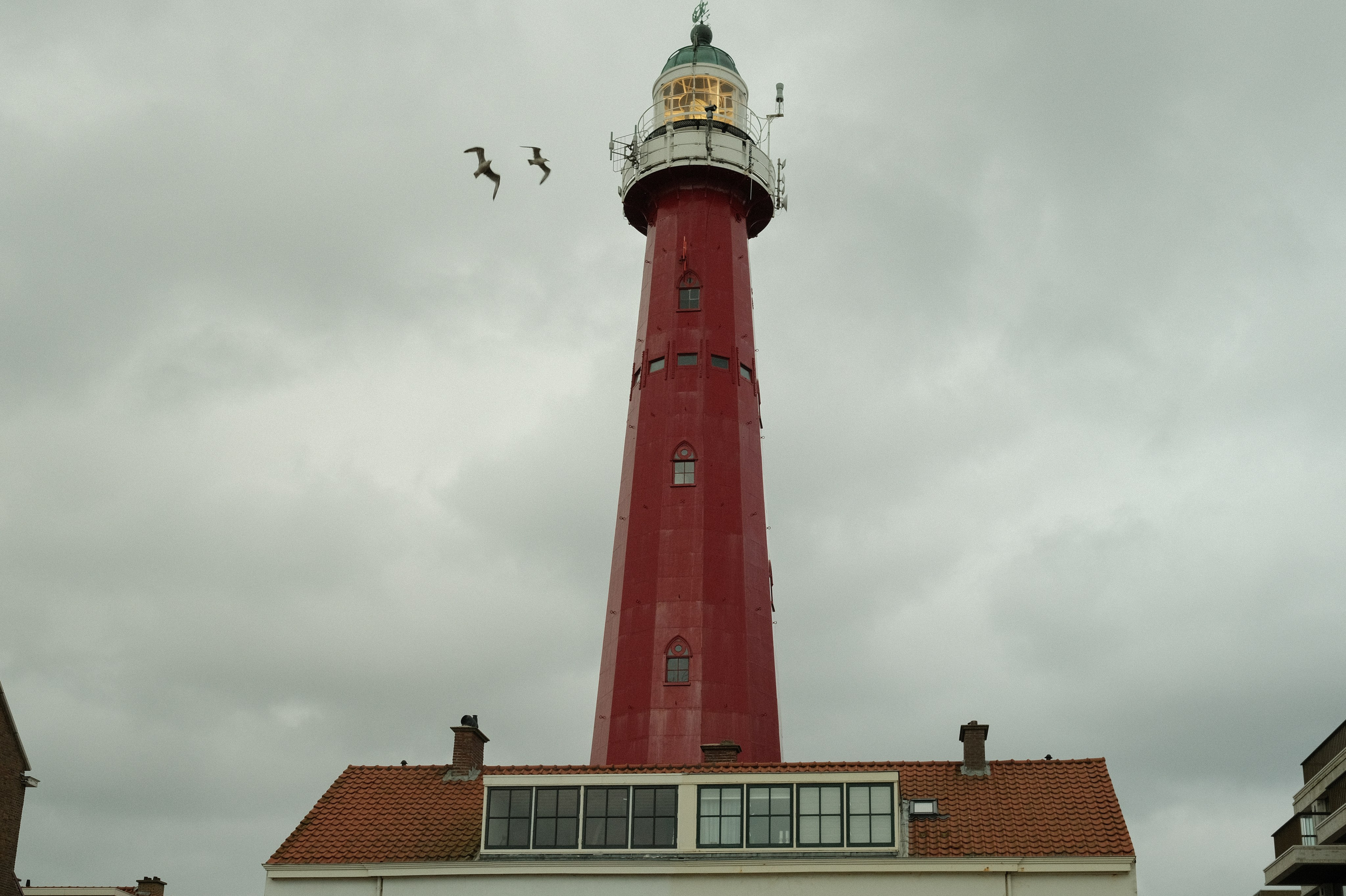 Фотографии Нидерландов | Филипп Линзин. Репортажный и портретный фотограф в Санкт-Петербурге Филипп Линзин