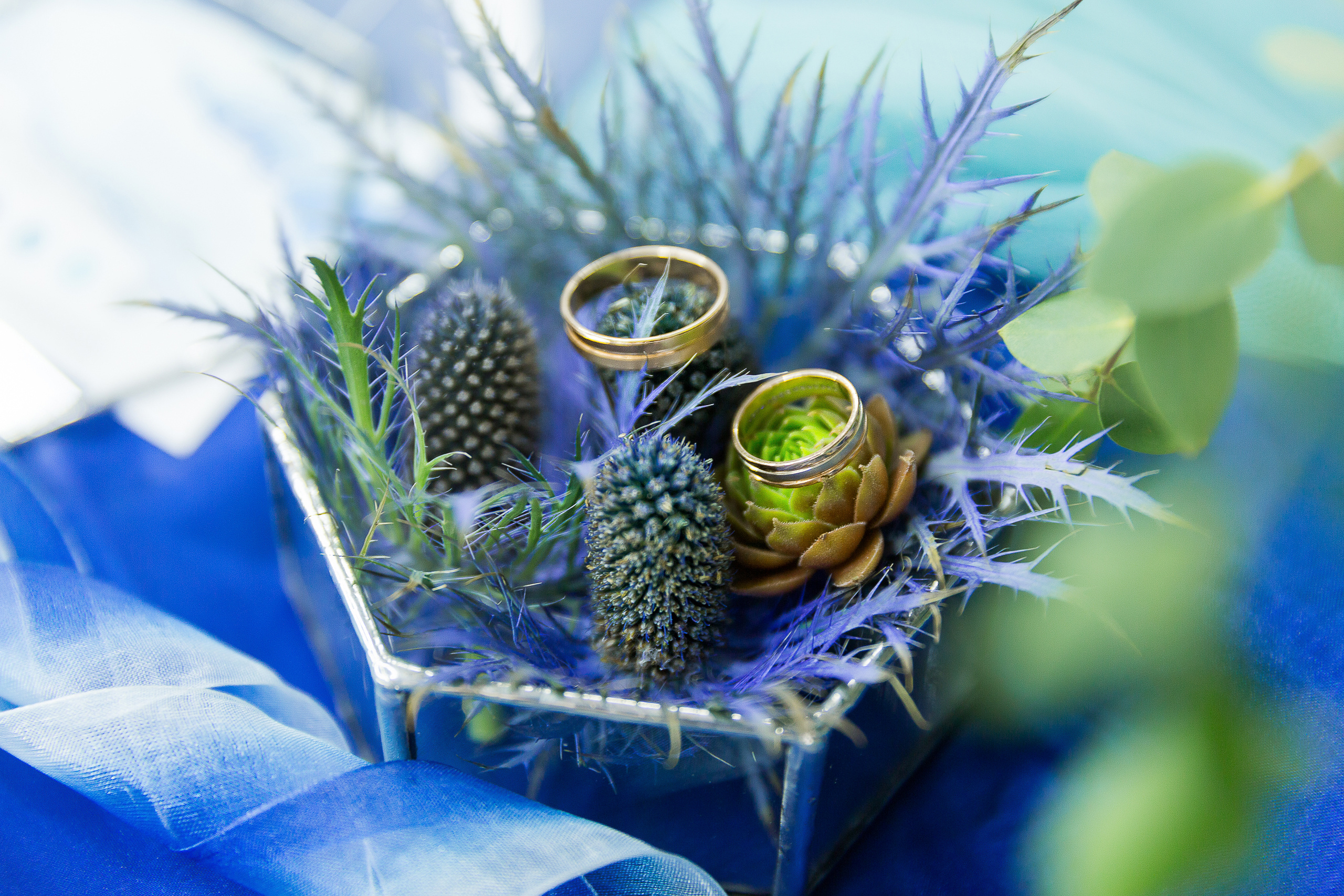 Мурат & Света Свадьба в Кисловодске. Свадебный фотограф  Пятигорск, Сочи, Ессентуки, Кисловодск Александр