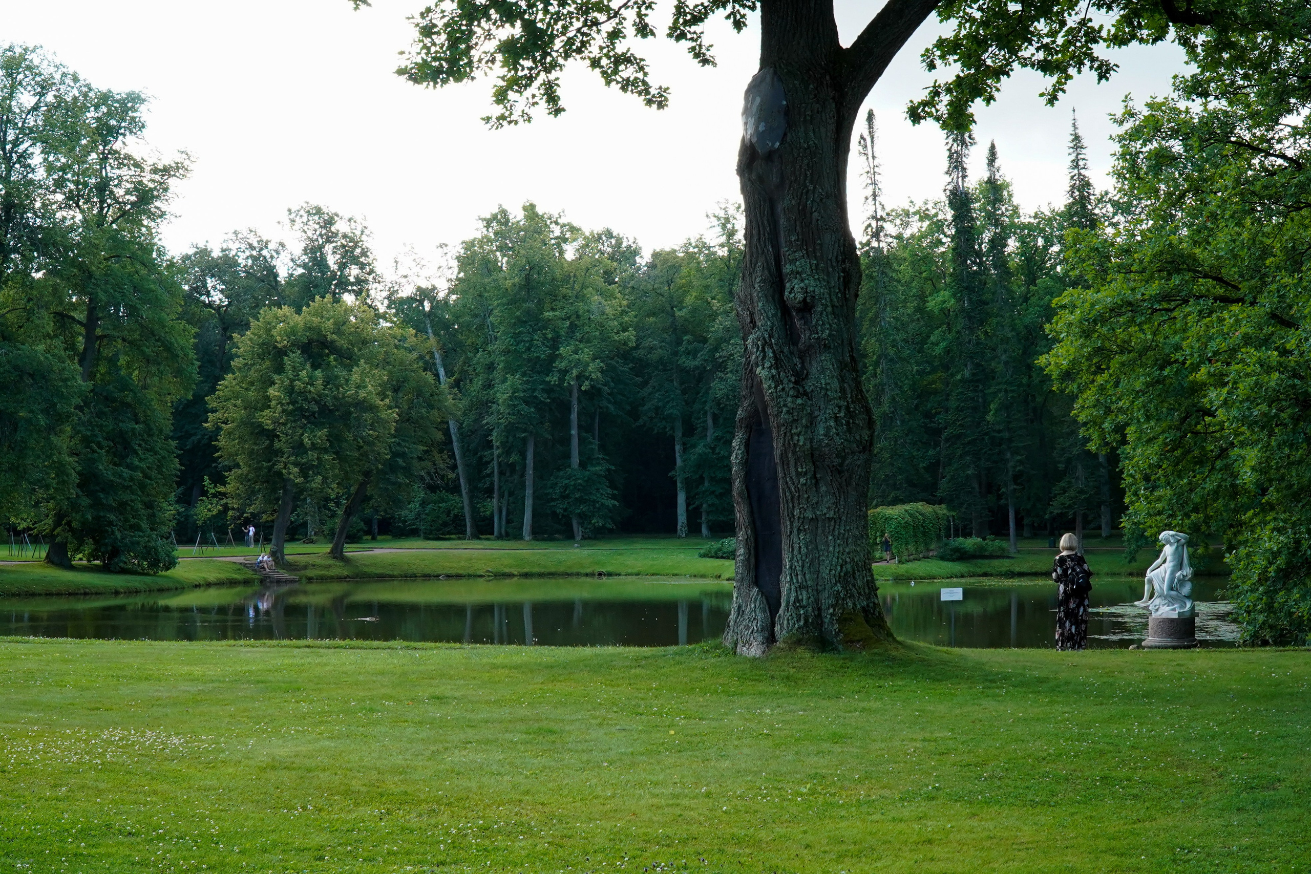 ОРАНИЕНБАУМ. Июль 2024. Фотограф Наталья Погодина в г. Обнинске