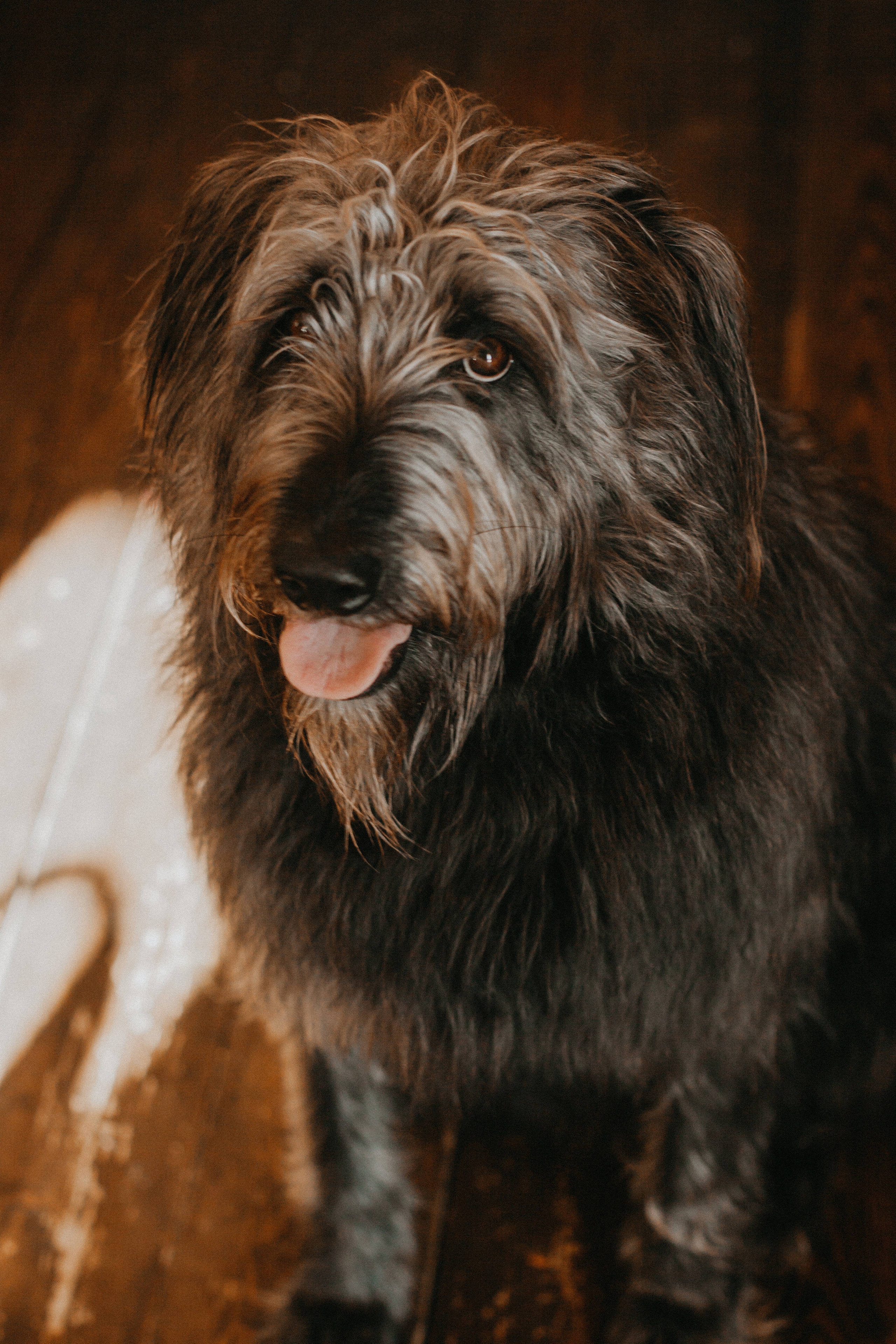 Домик в лесу. Семейный фотограф в Екатеринбурге Валерия Федотова