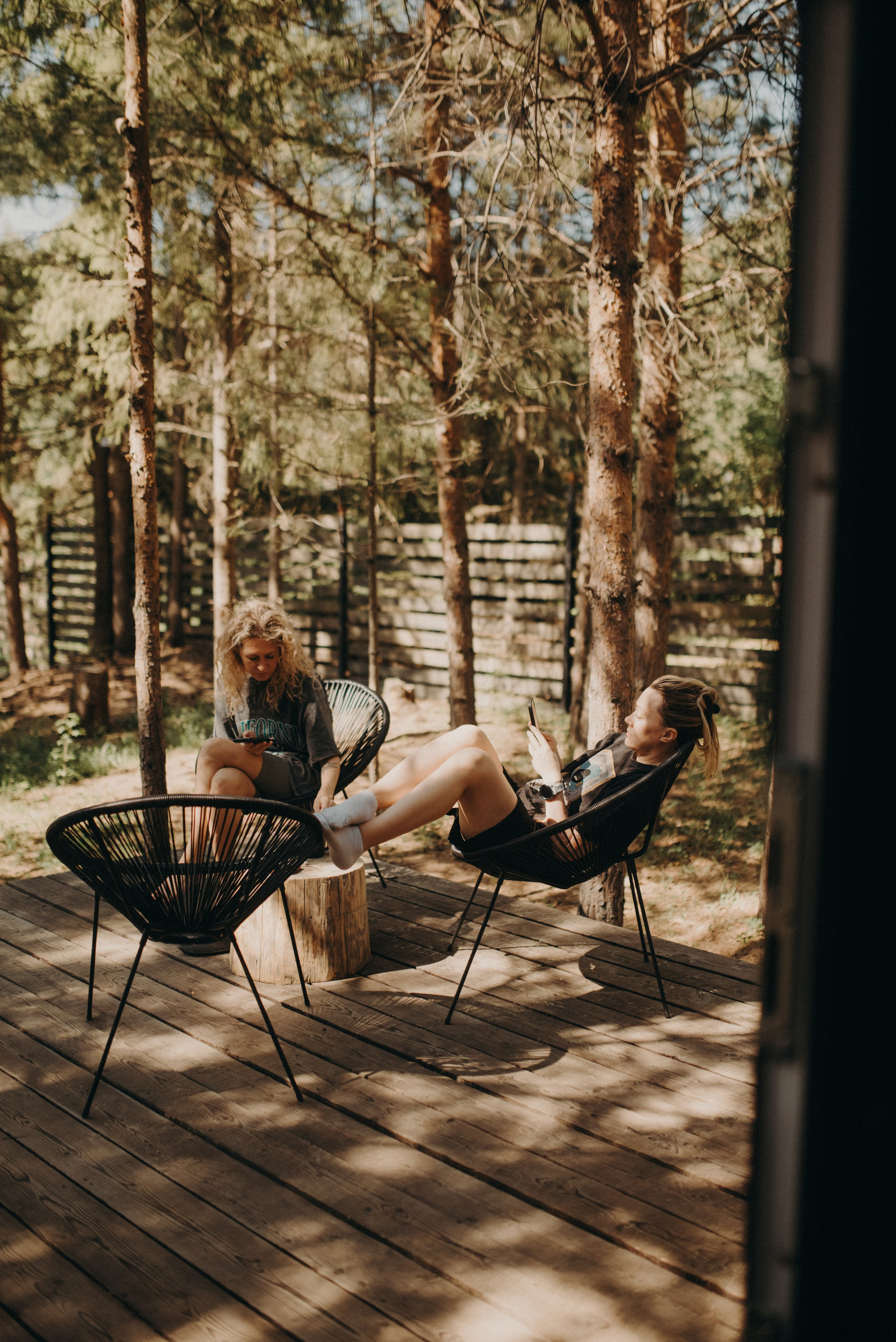 Шалаш среди леса. Главная