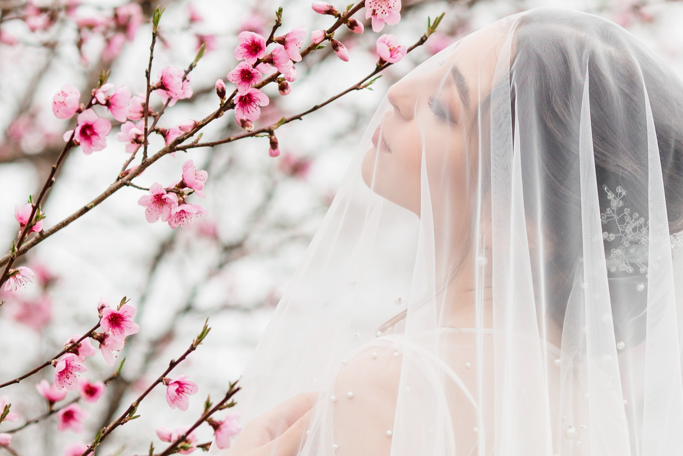 Николай и Аля. Свадебный и семейный фотограф в Краснодаре