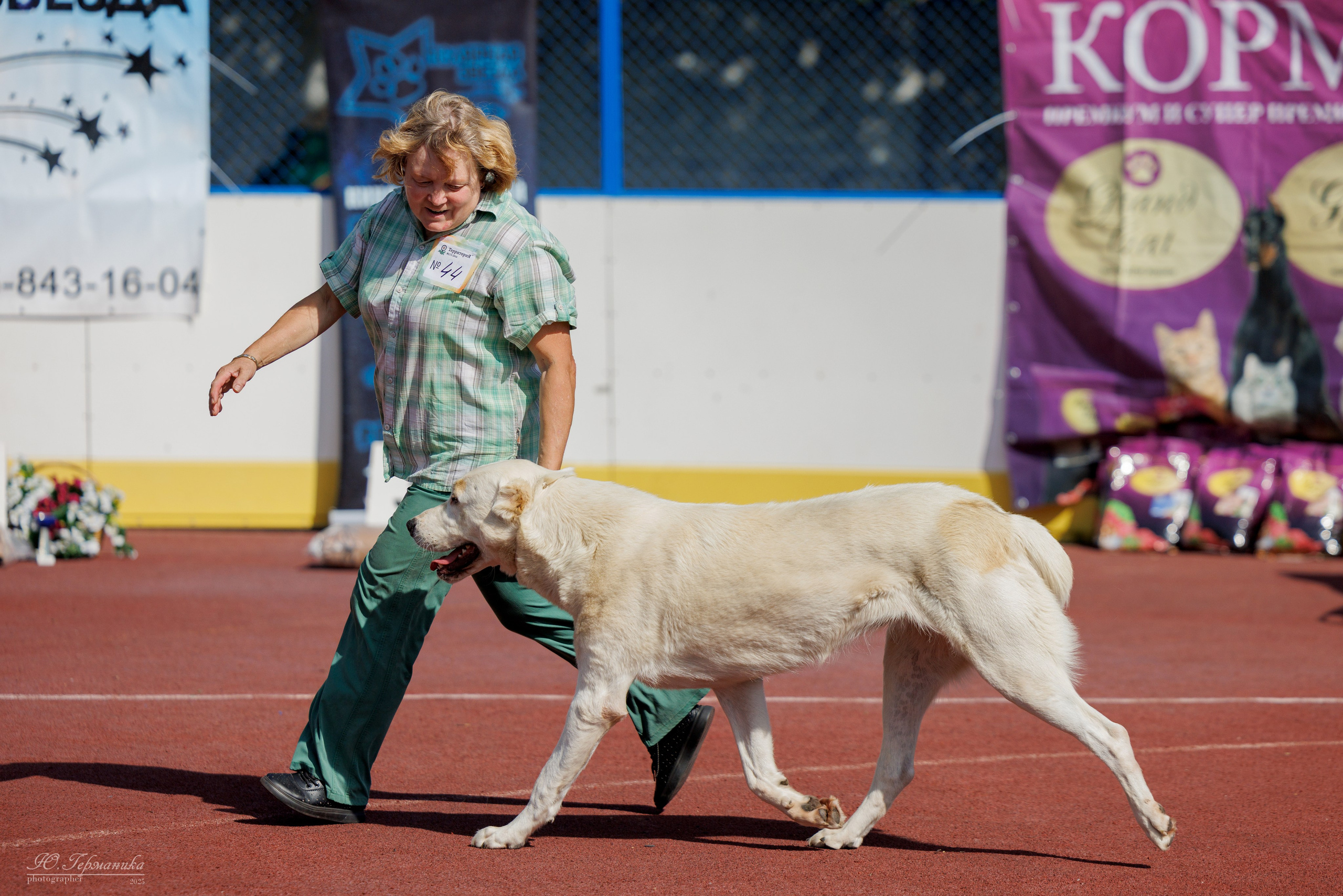 Коломна 30.08.2025. Фотограф-анималист Юлия Германика