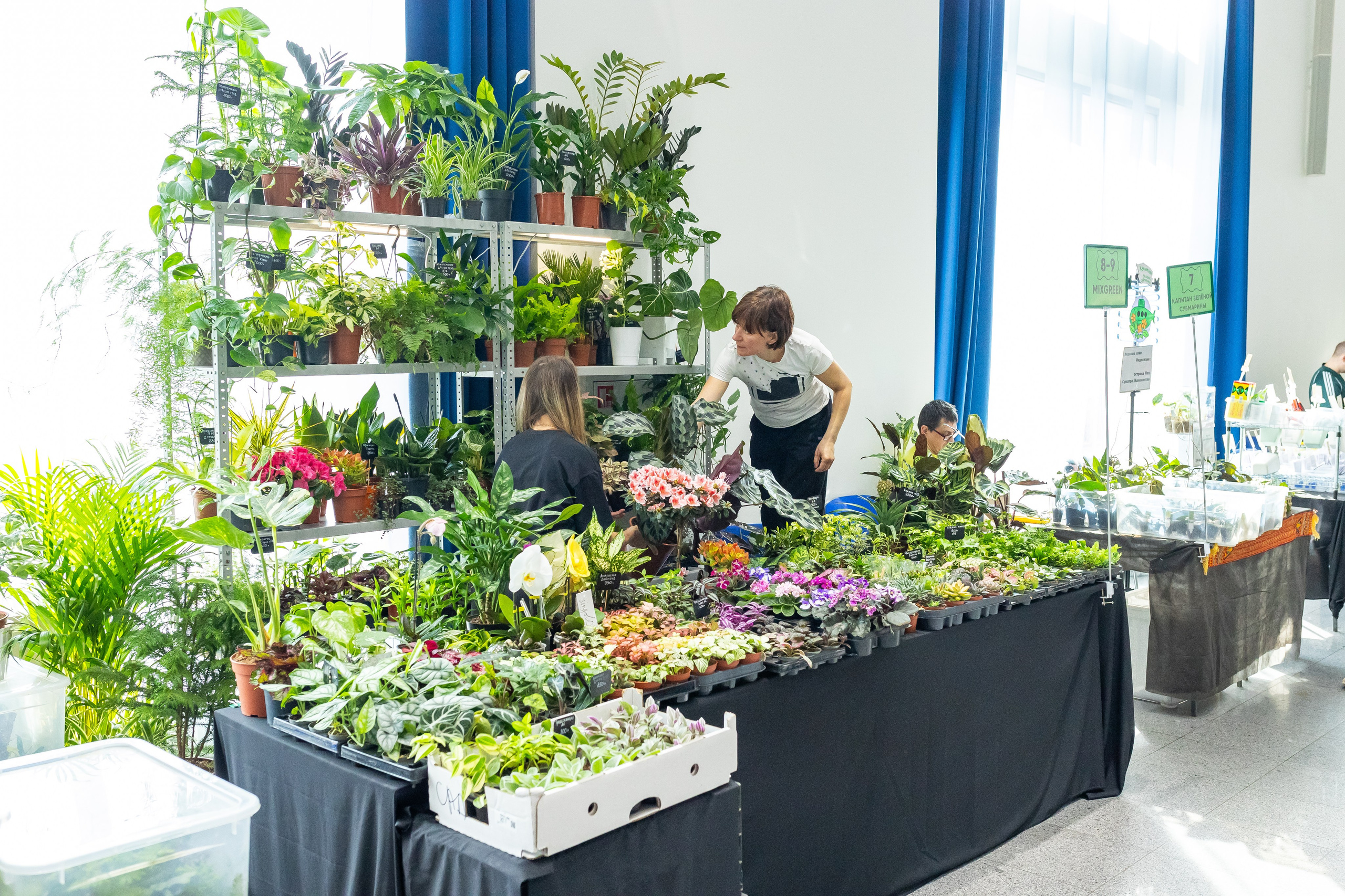 Монстериум апрель 2025. Александра Куликова фотограф, Москва