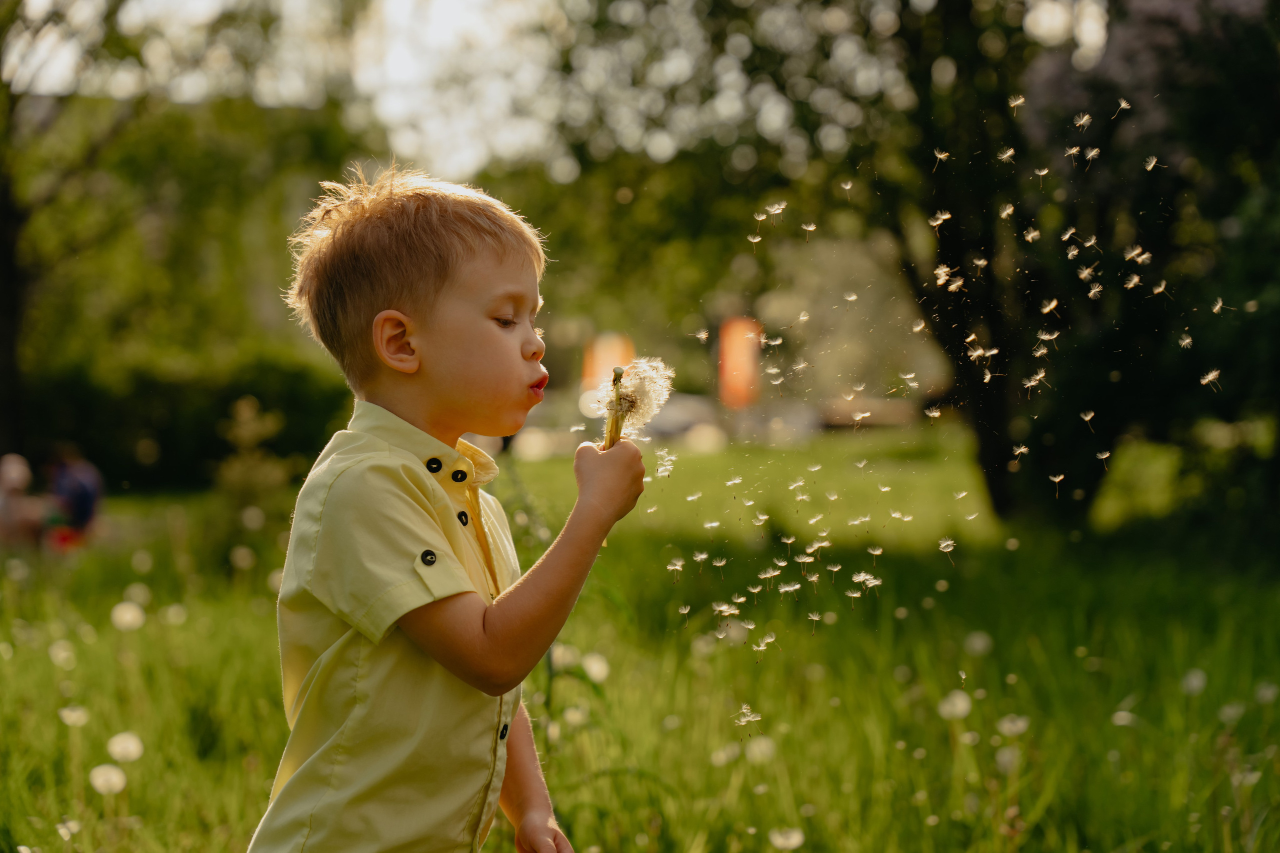 Сиреневое настроение