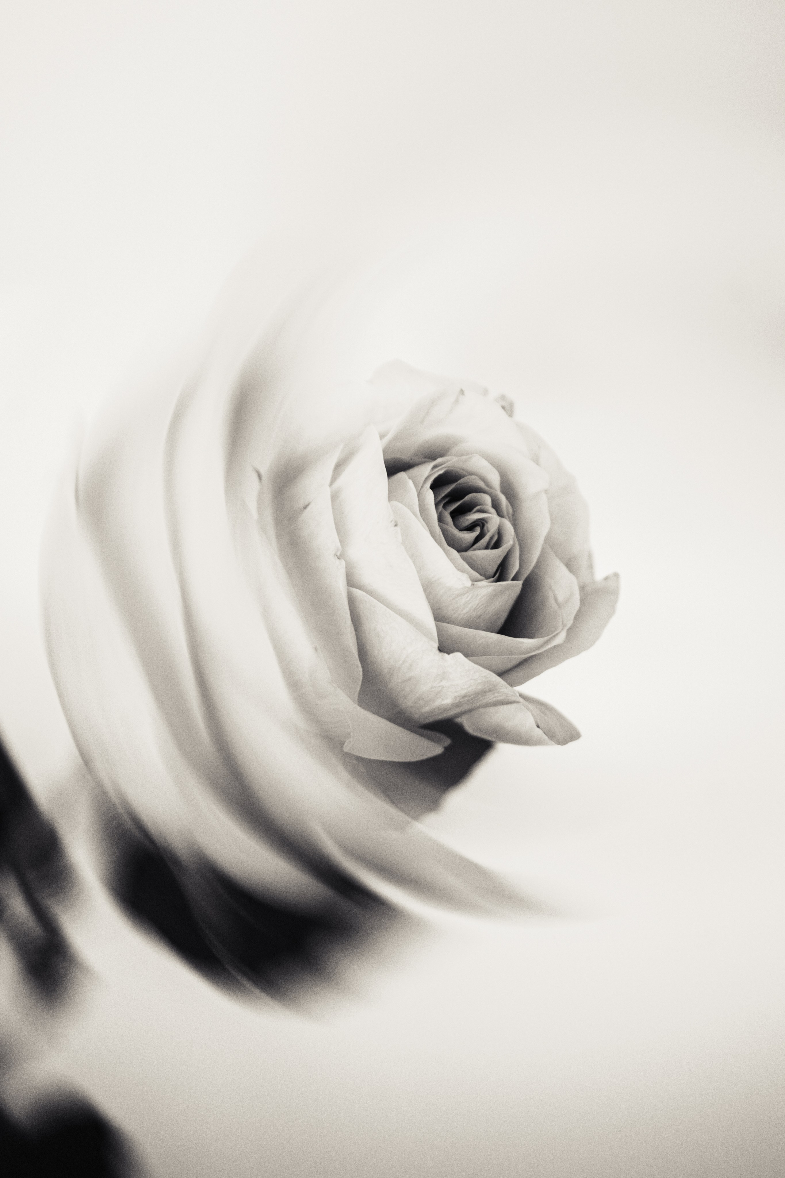 Товары. Фотограф Алиса Аспер