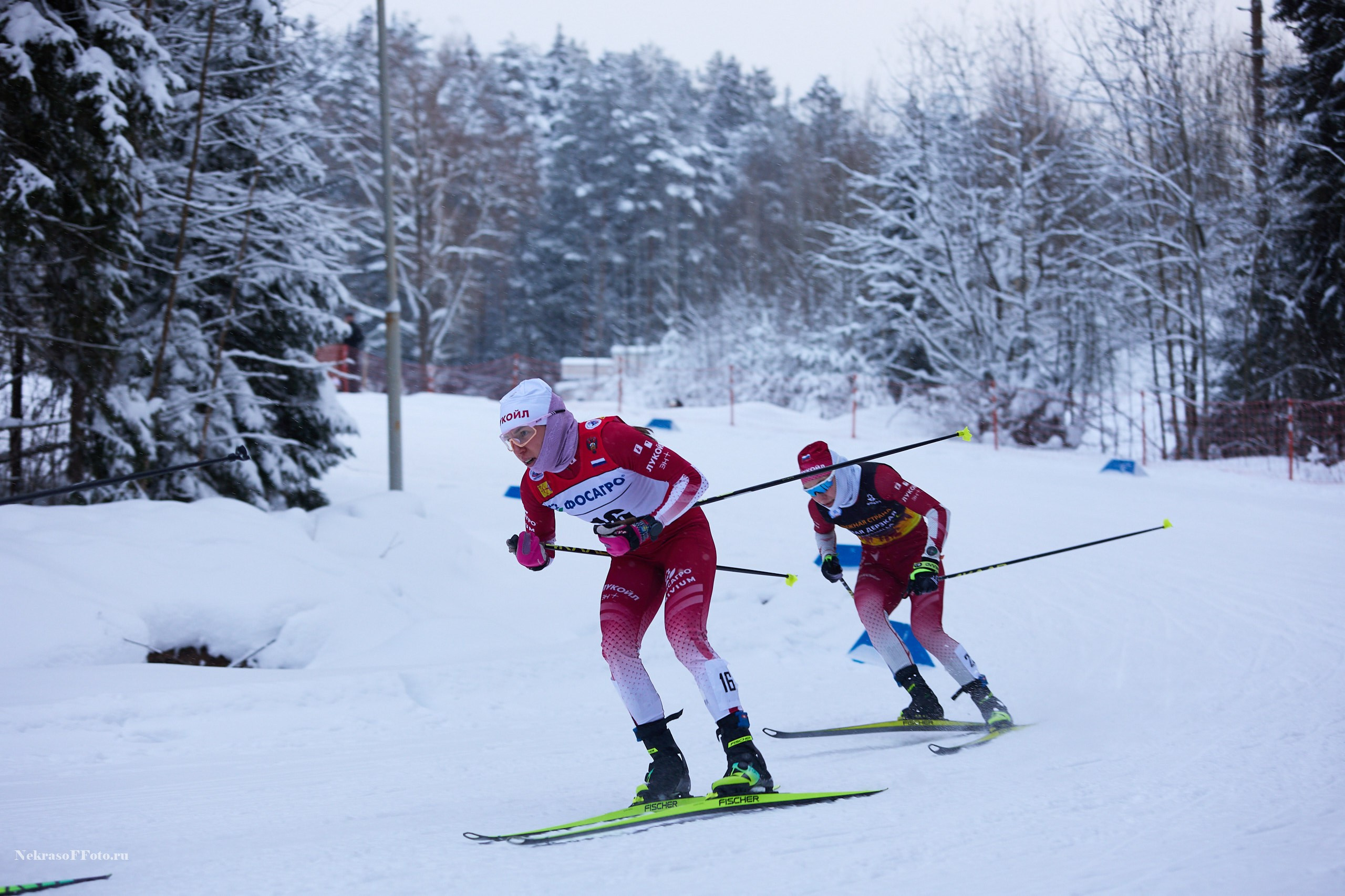 Кубок России по Лыжным гонкам. Спортивный фотограф Некрасов Денис