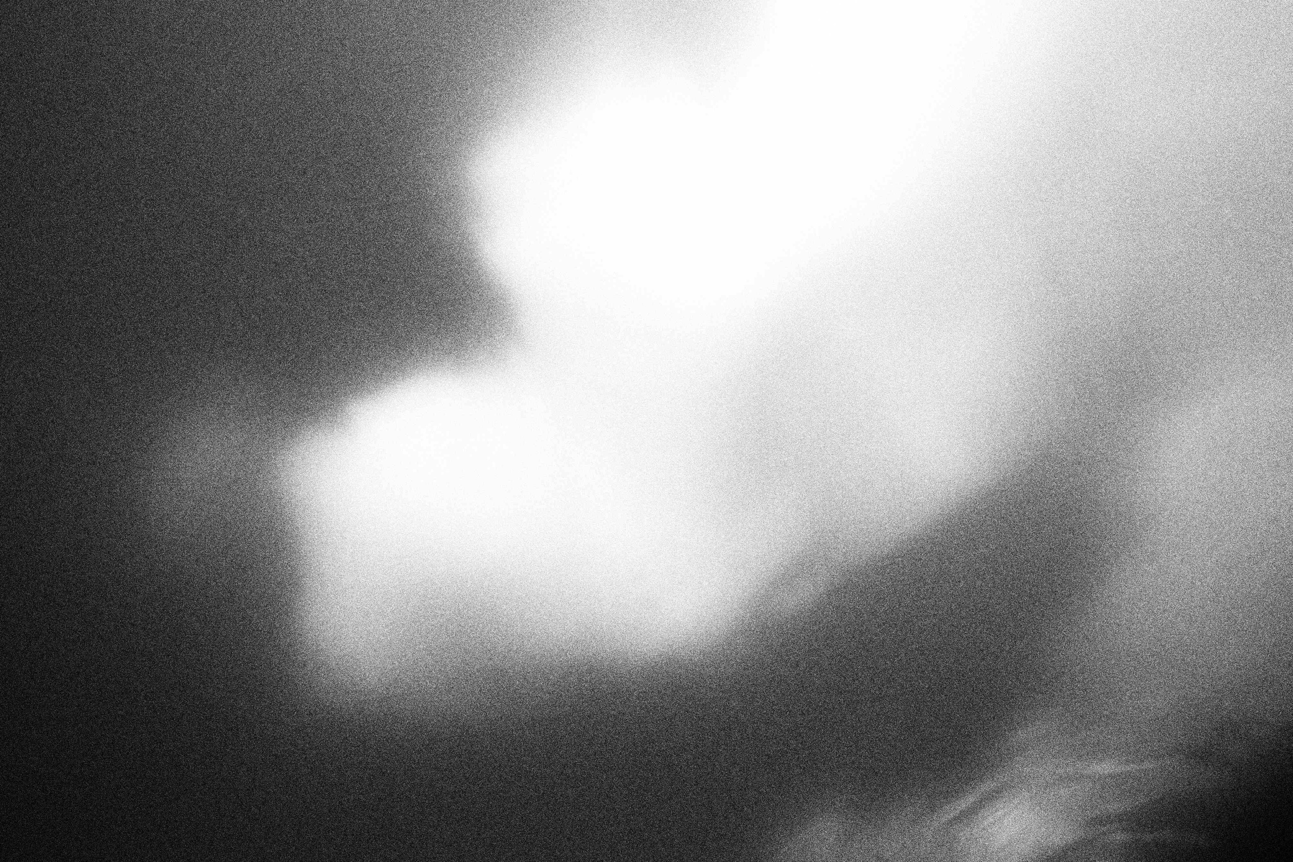 «Видеть. Чувствовать. Сохранять»