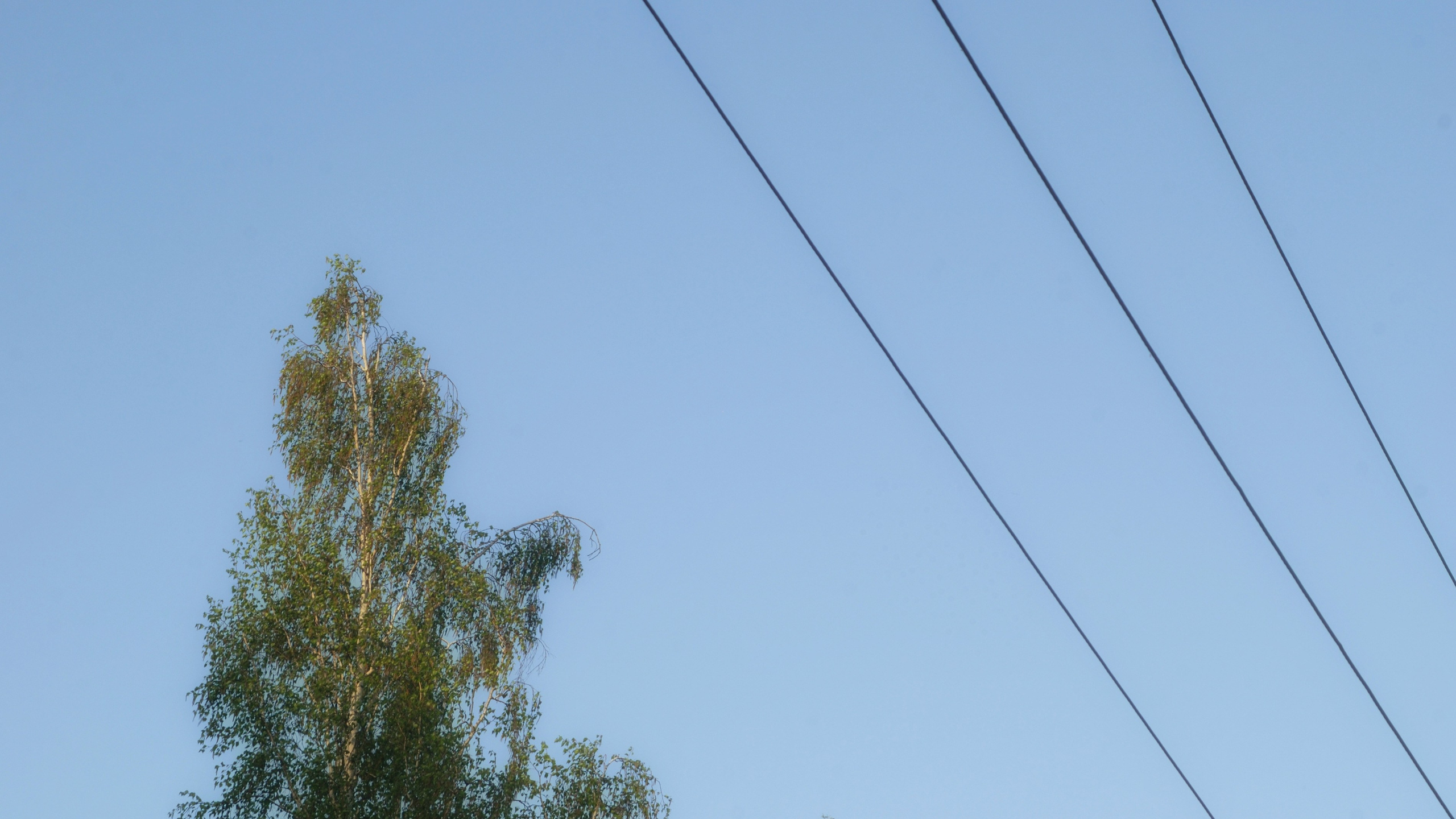 Этот прекрасный мир