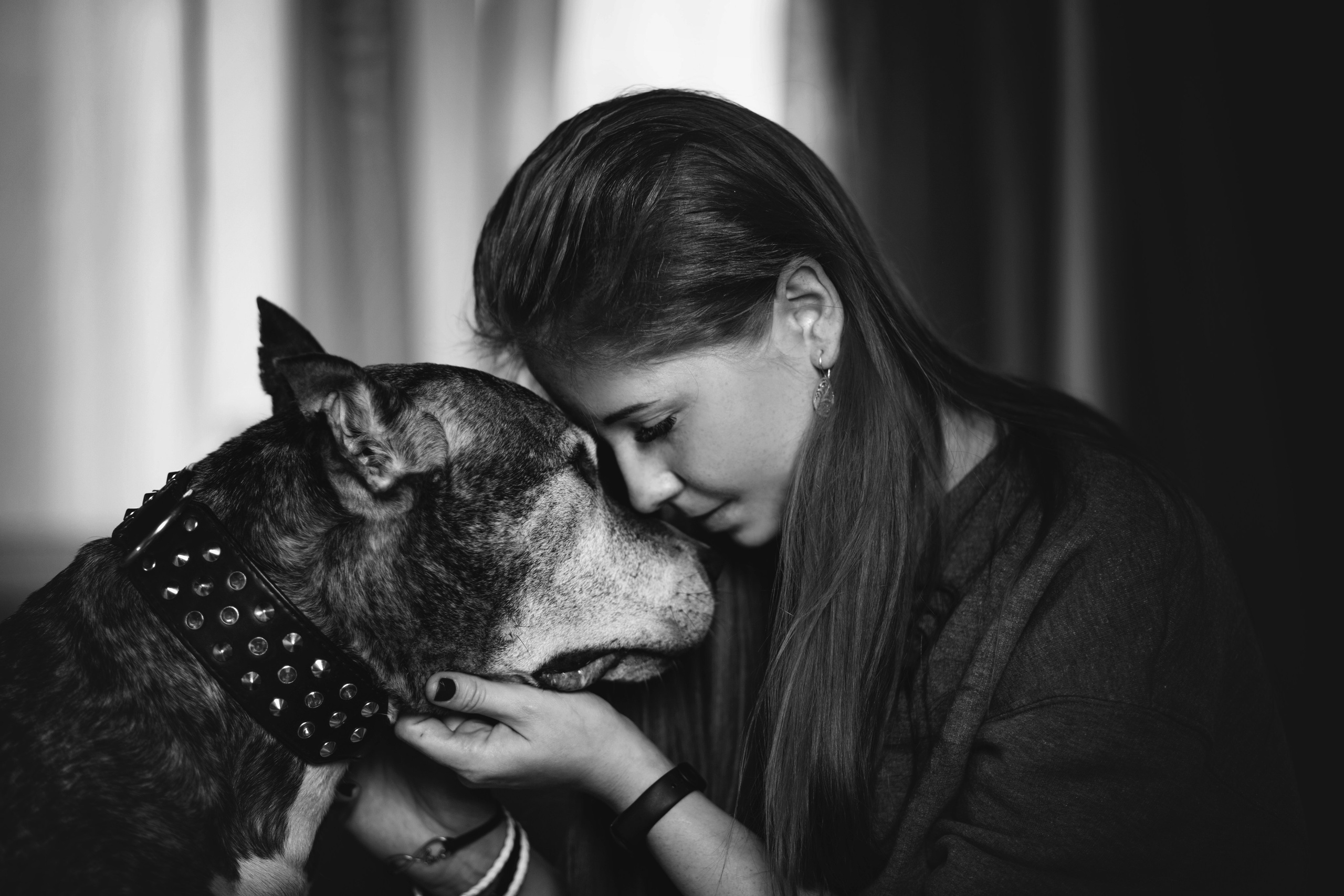 Художественная фотография людей и животных. Фотошкола и фотокурсы в Абакане