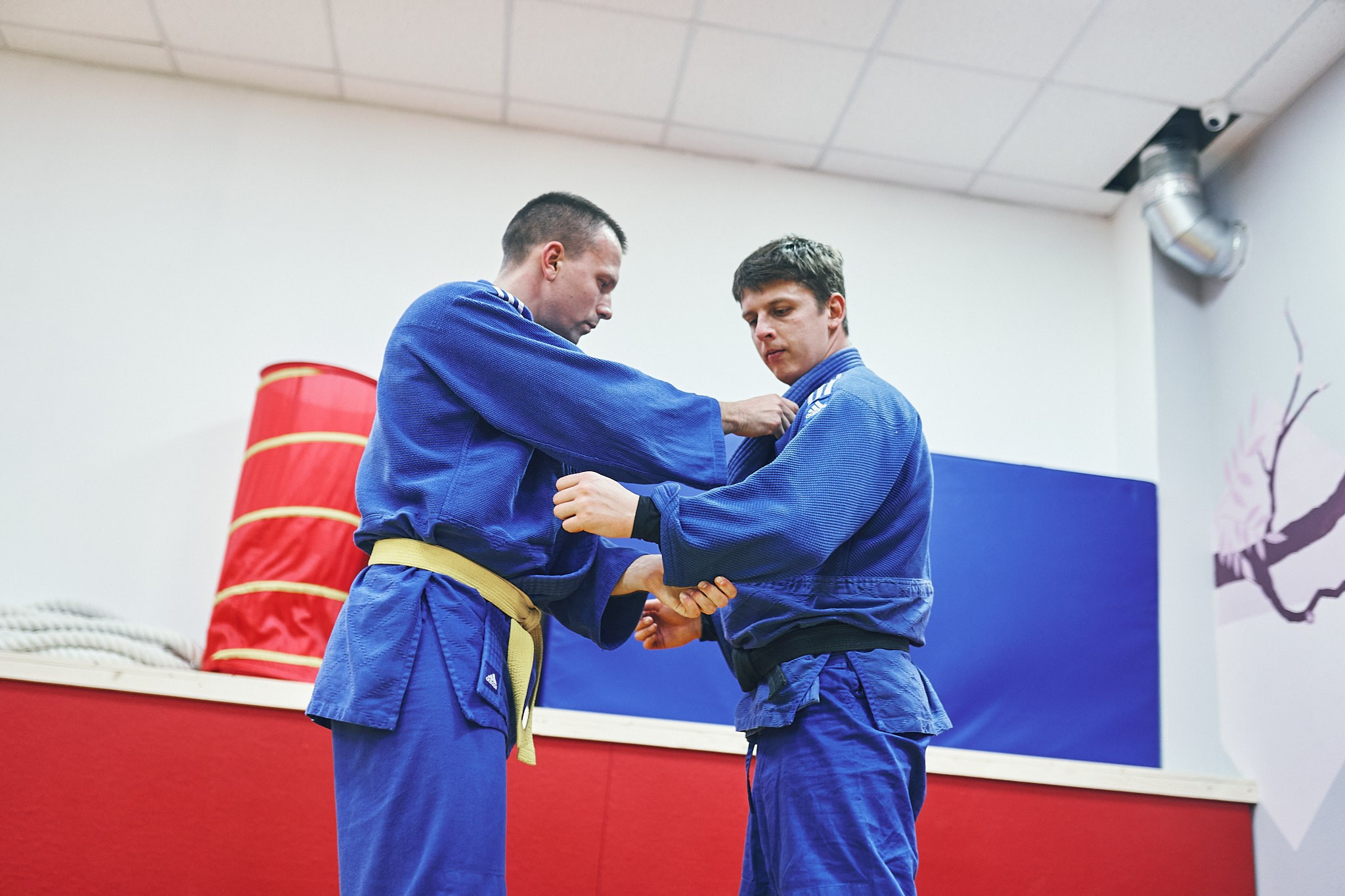 Дзюдо (взрослые). Фотограф в Сочи Катя Гончарова